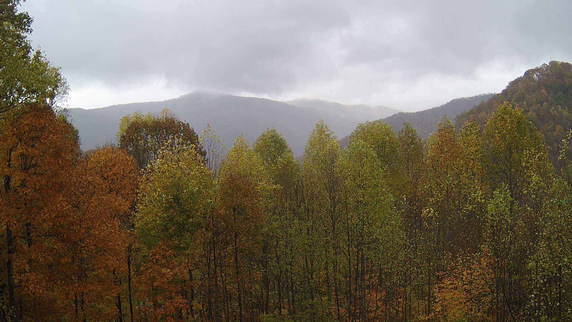 click for next image... slideshow image