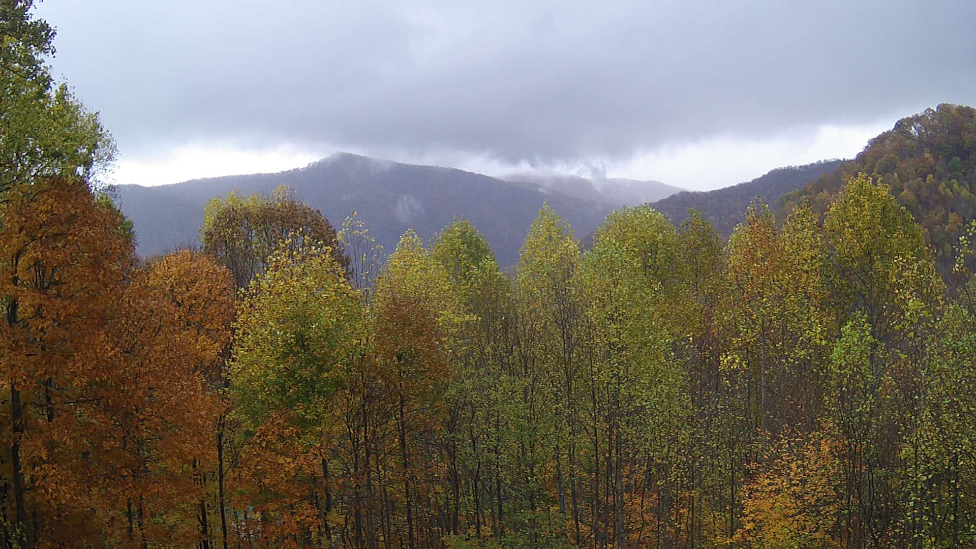 click for next image... slideshow image