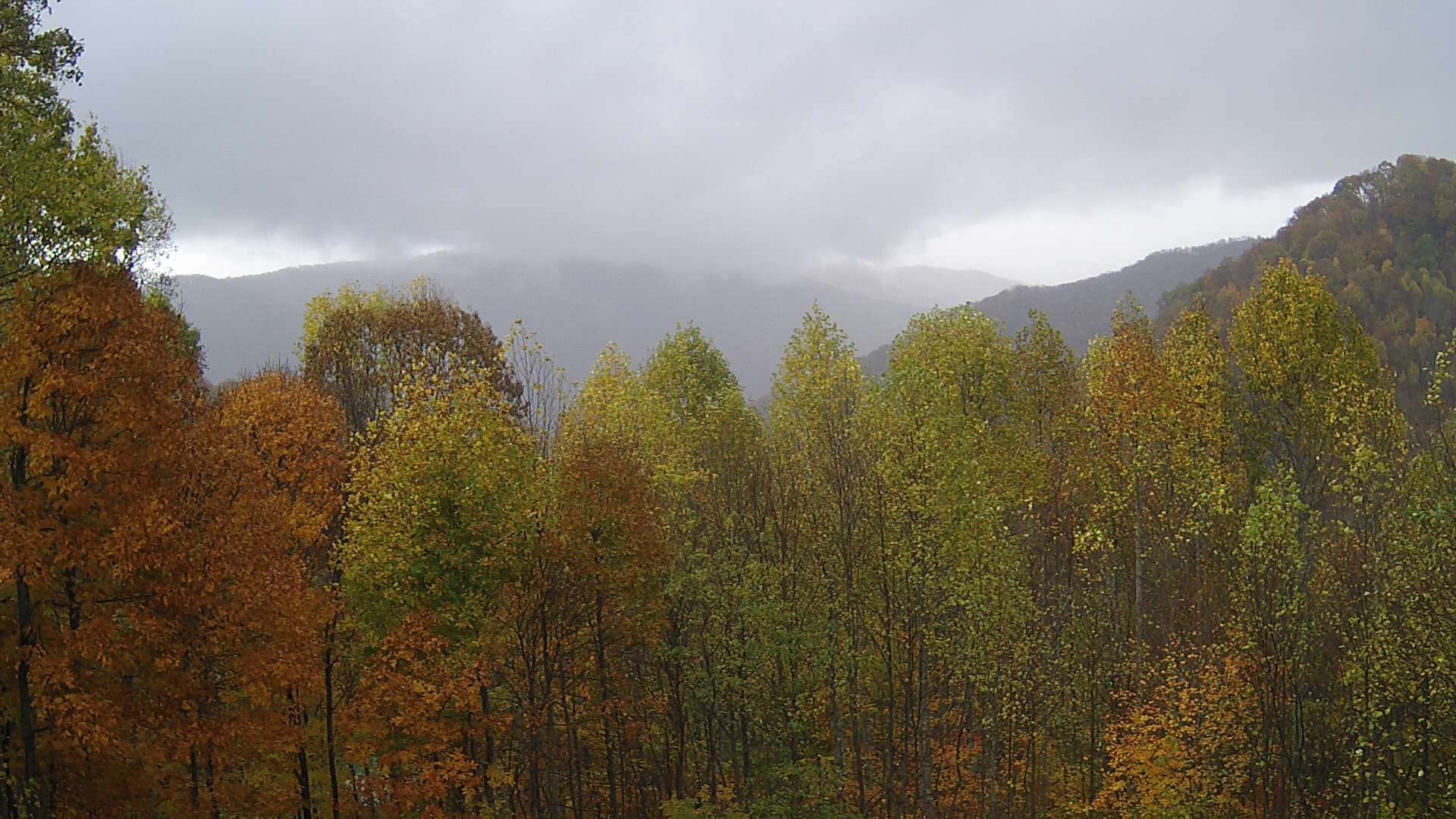 click for next image... slideshow image