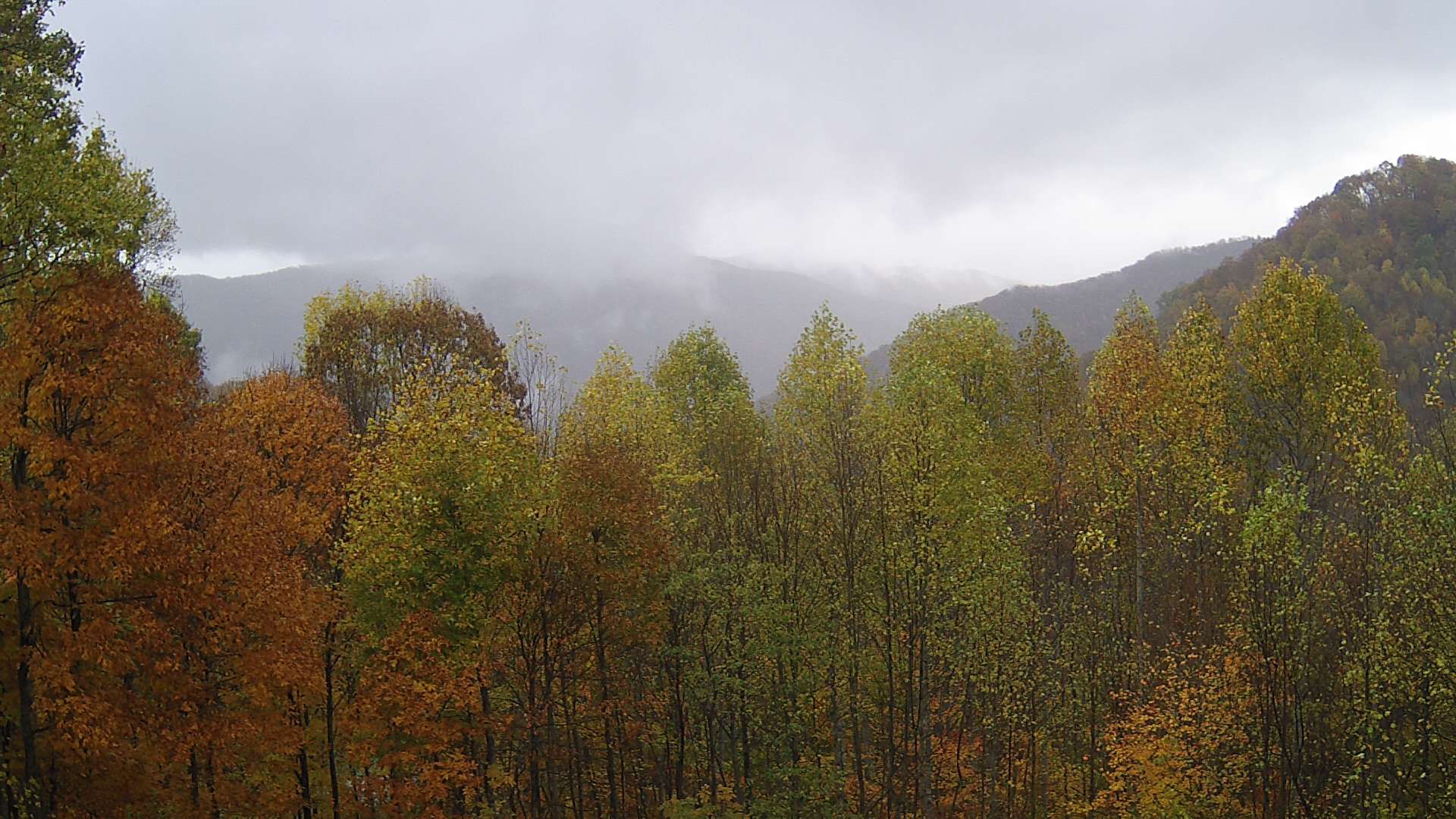 click for next image... slideshow image