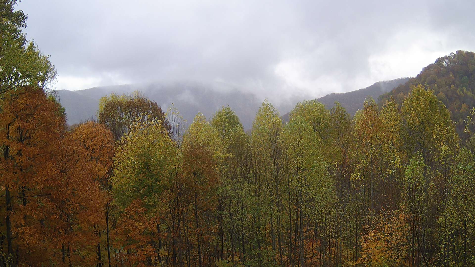 click for next image... slideshow image