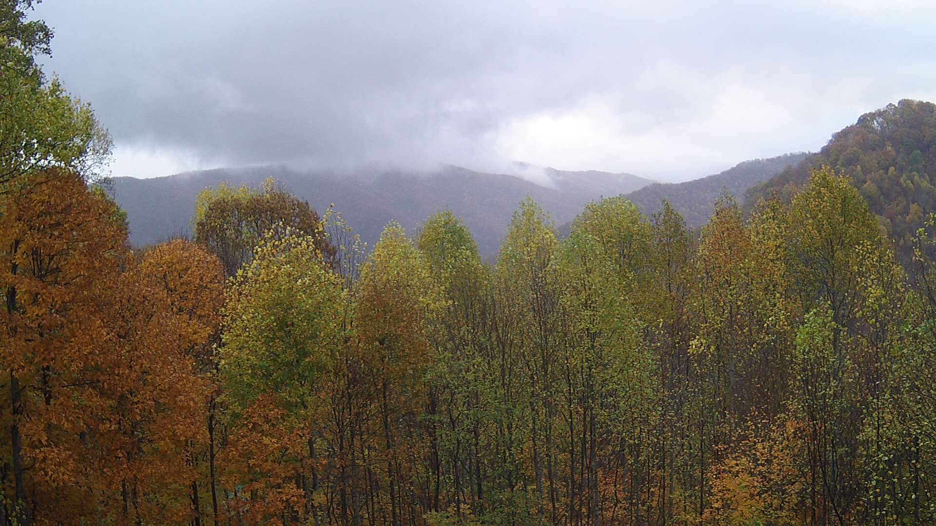 click for next image... slideshow image