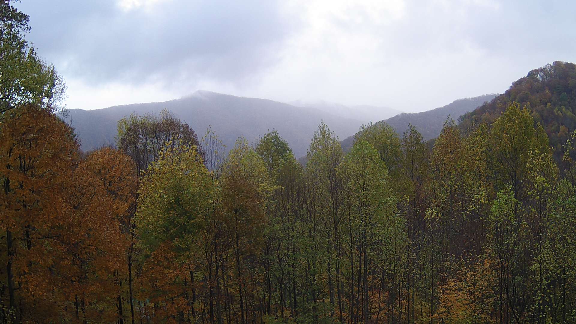 click for next image... slideshow image