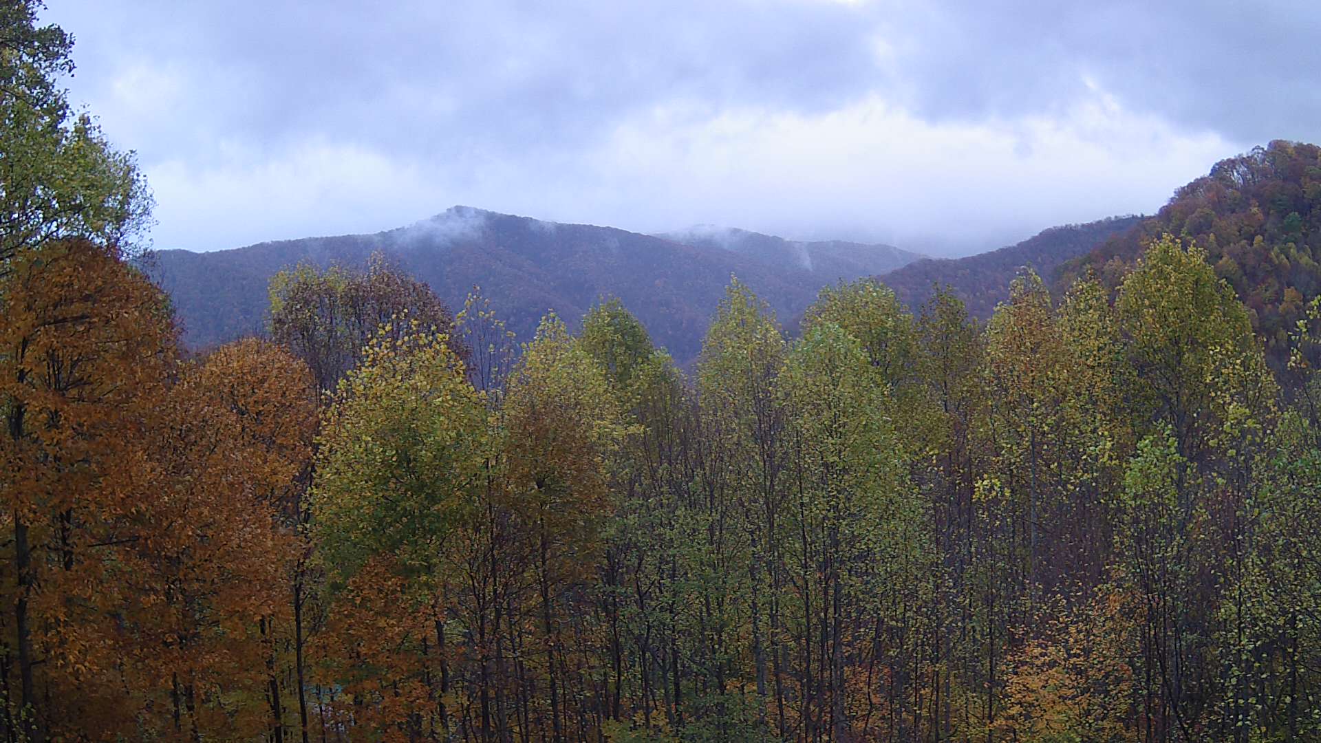 click for next image... slideshow image