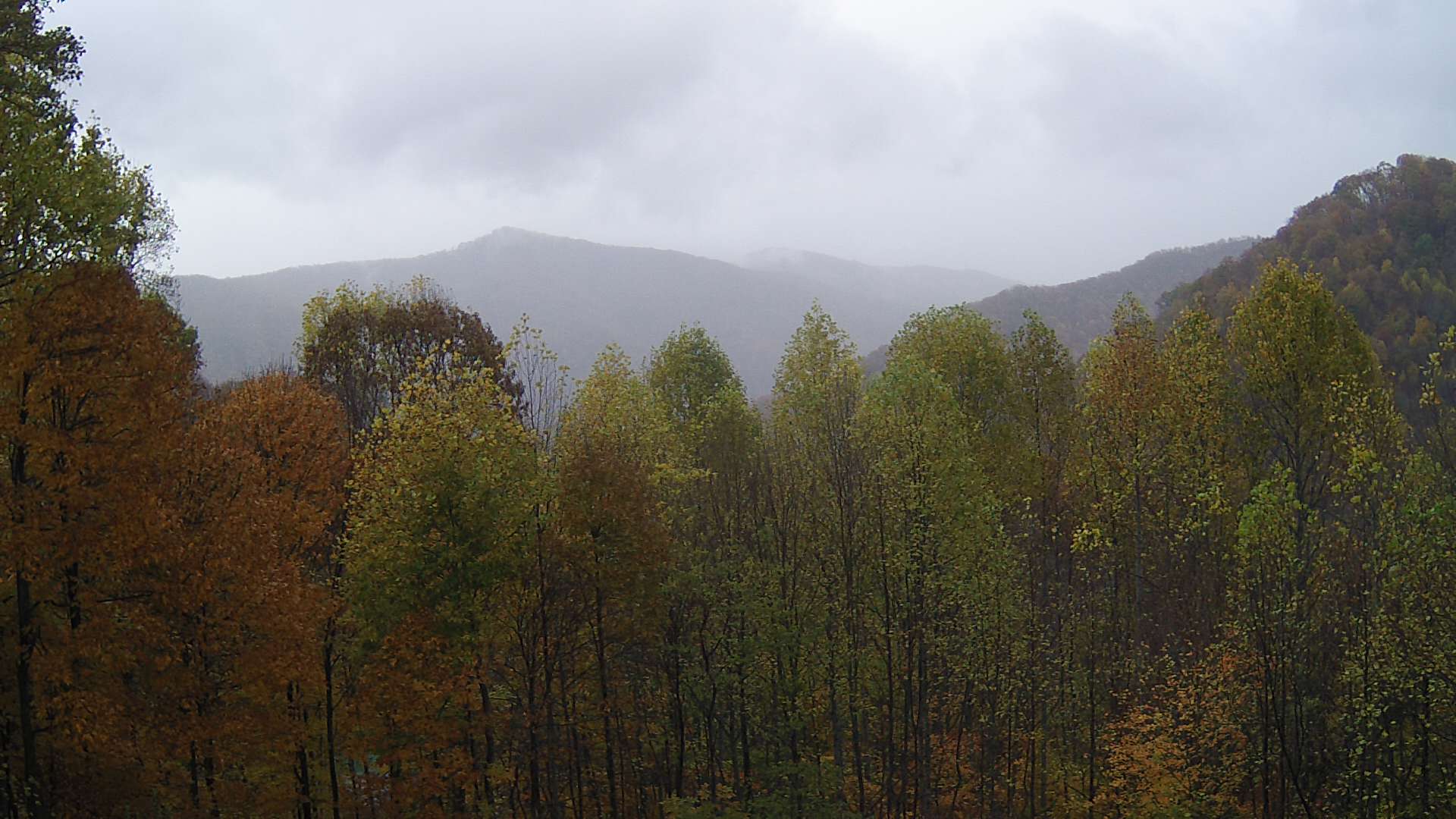 click for next image... slideshow image