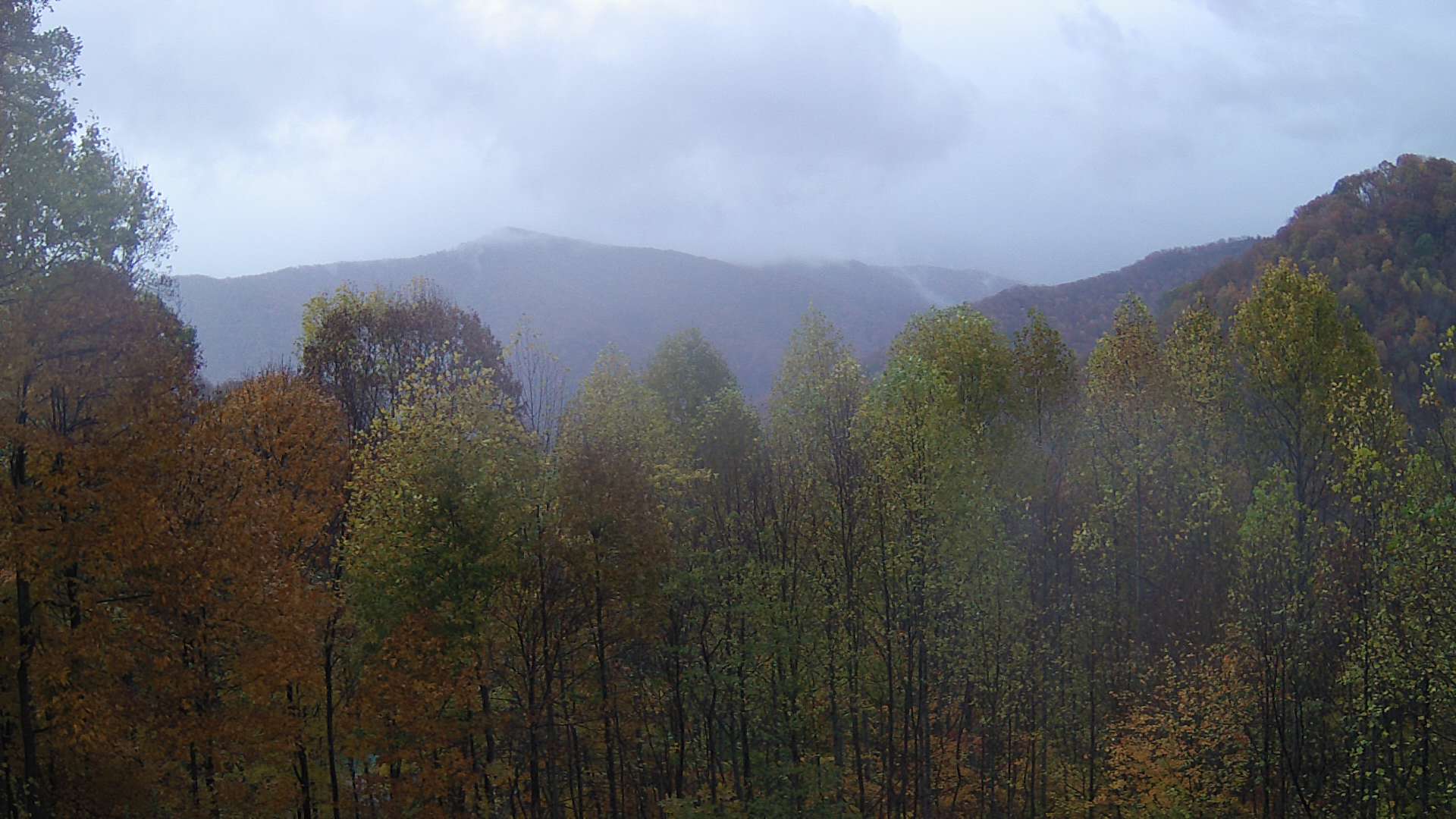 click for next image... slideshow image