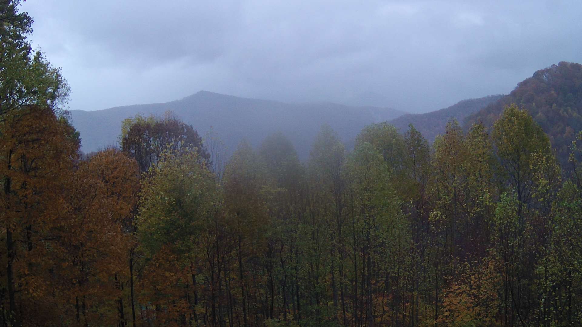 click for next image... slideshow image