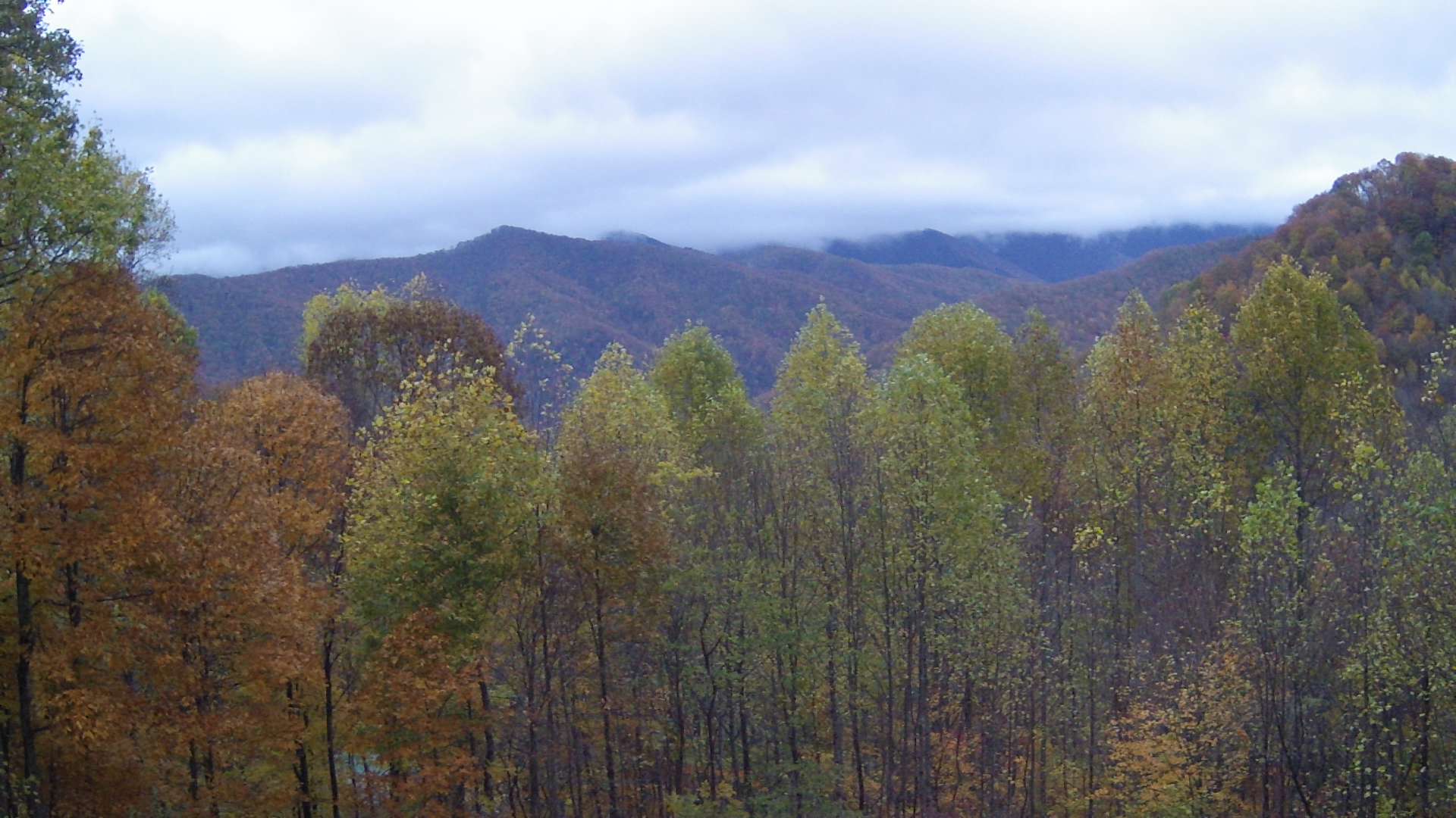 click for next image... slideshow image