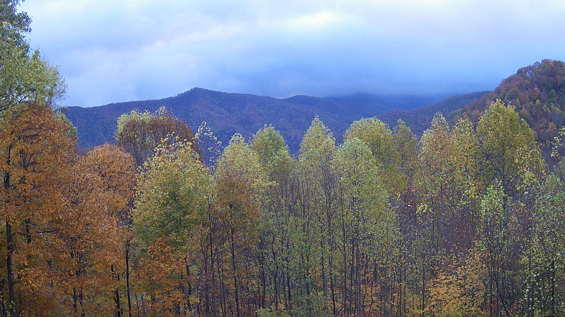 click for next image... slideshow image