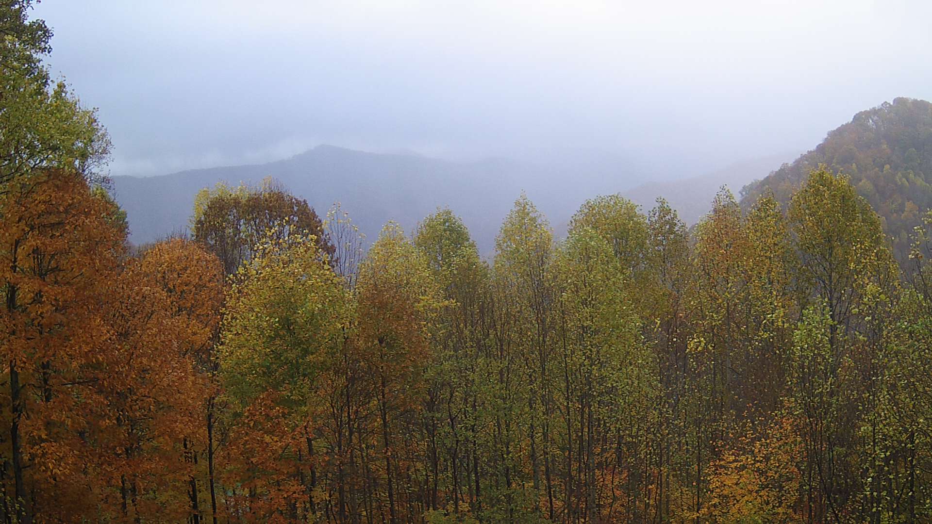 click for next image... slideshow image