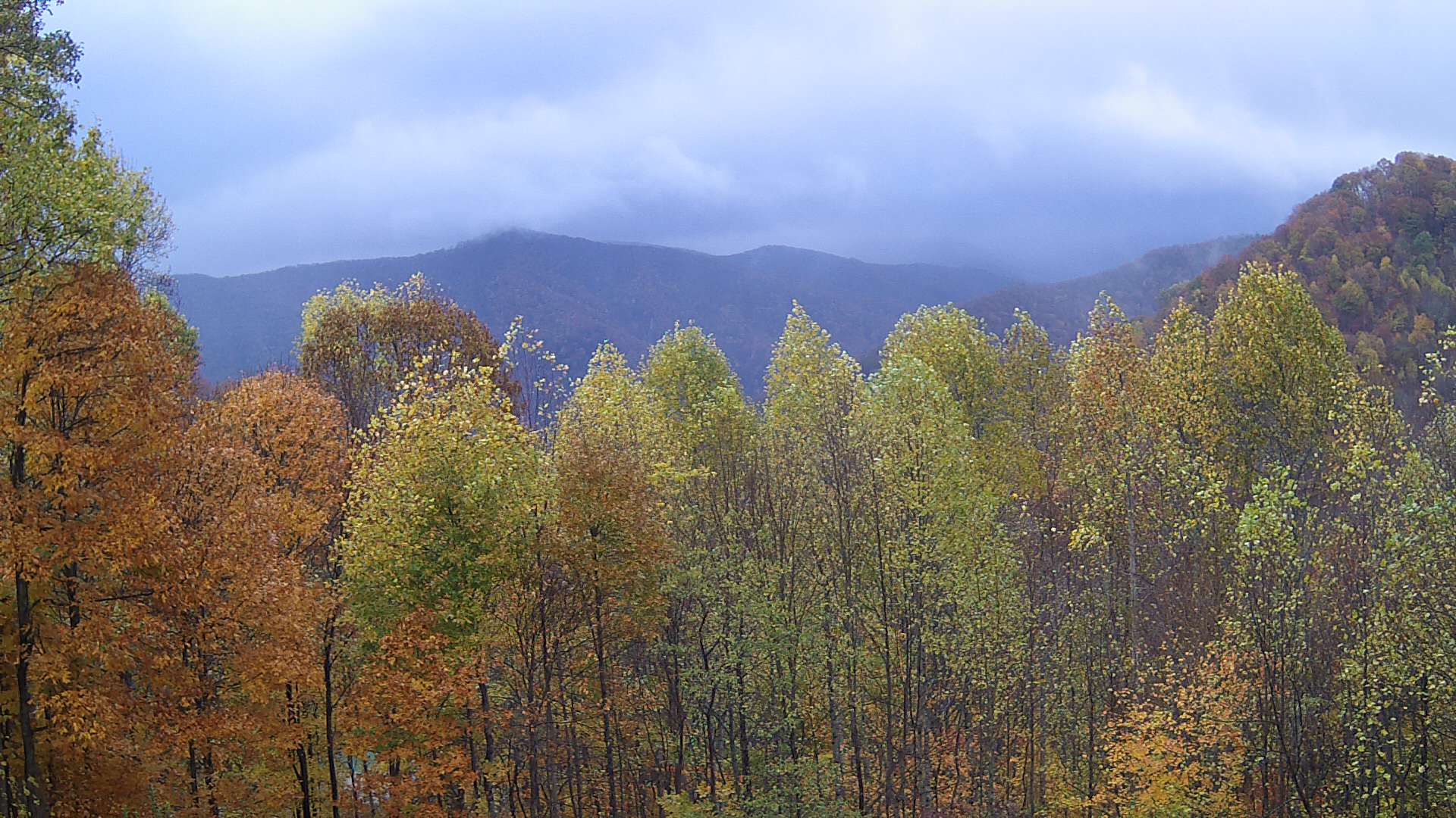 click for next image... slideshow image