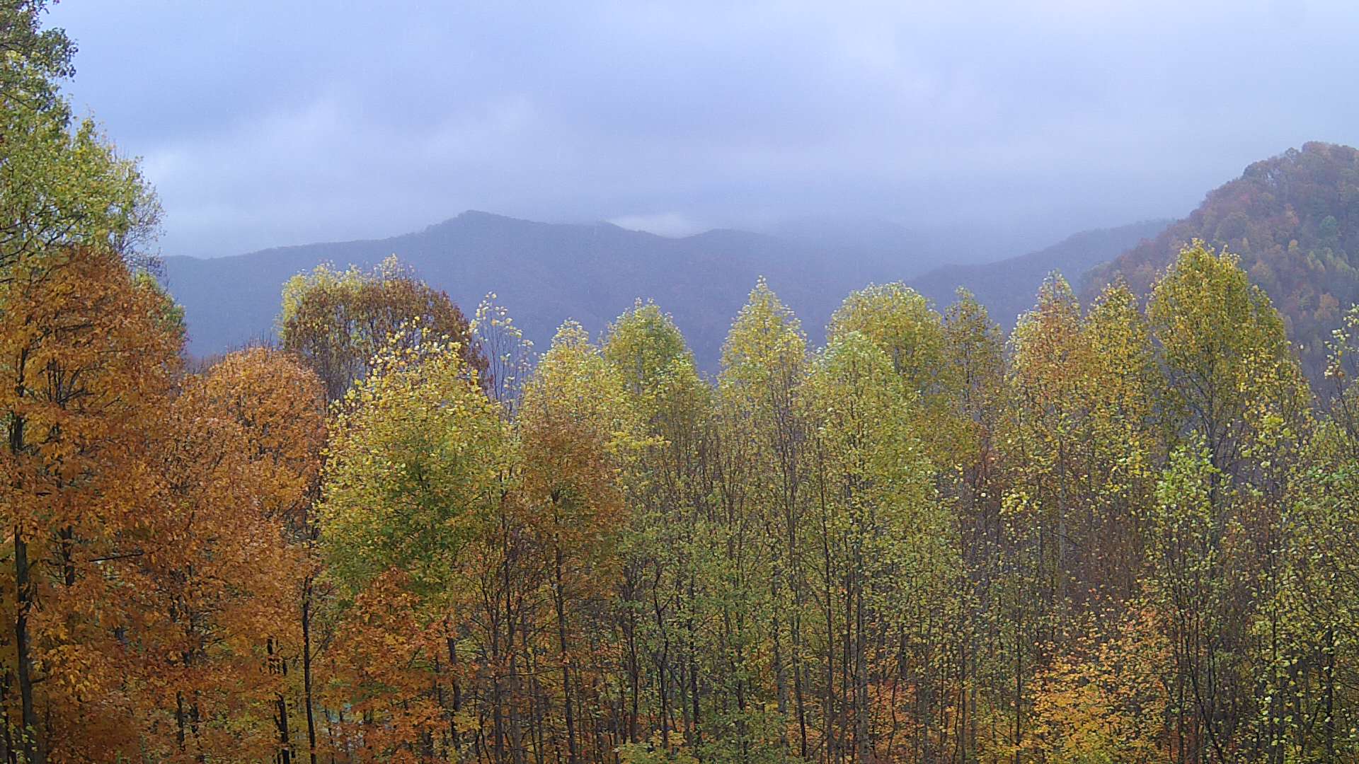 click for next image... slideshow image