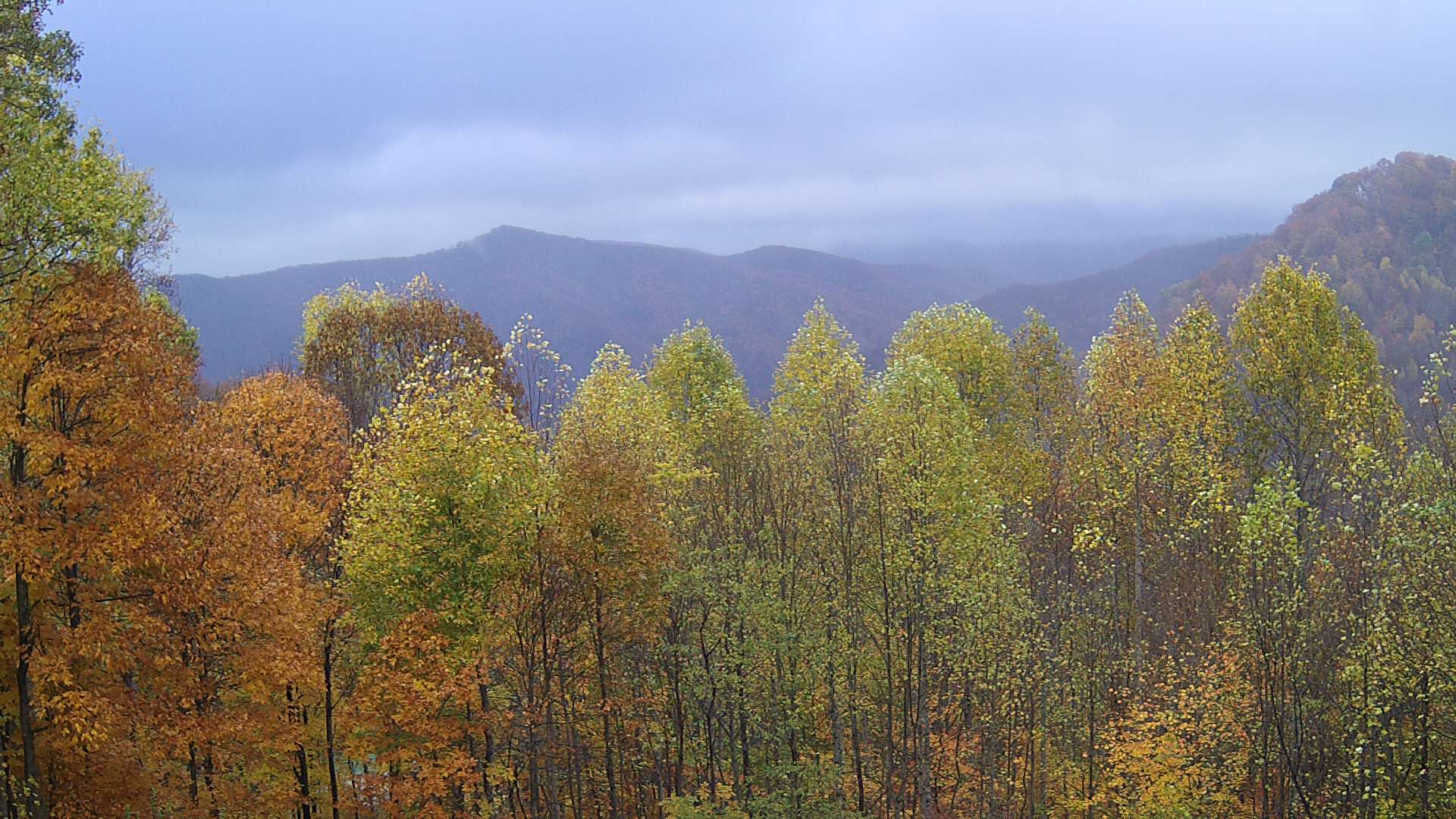 click for next image... slideshow image