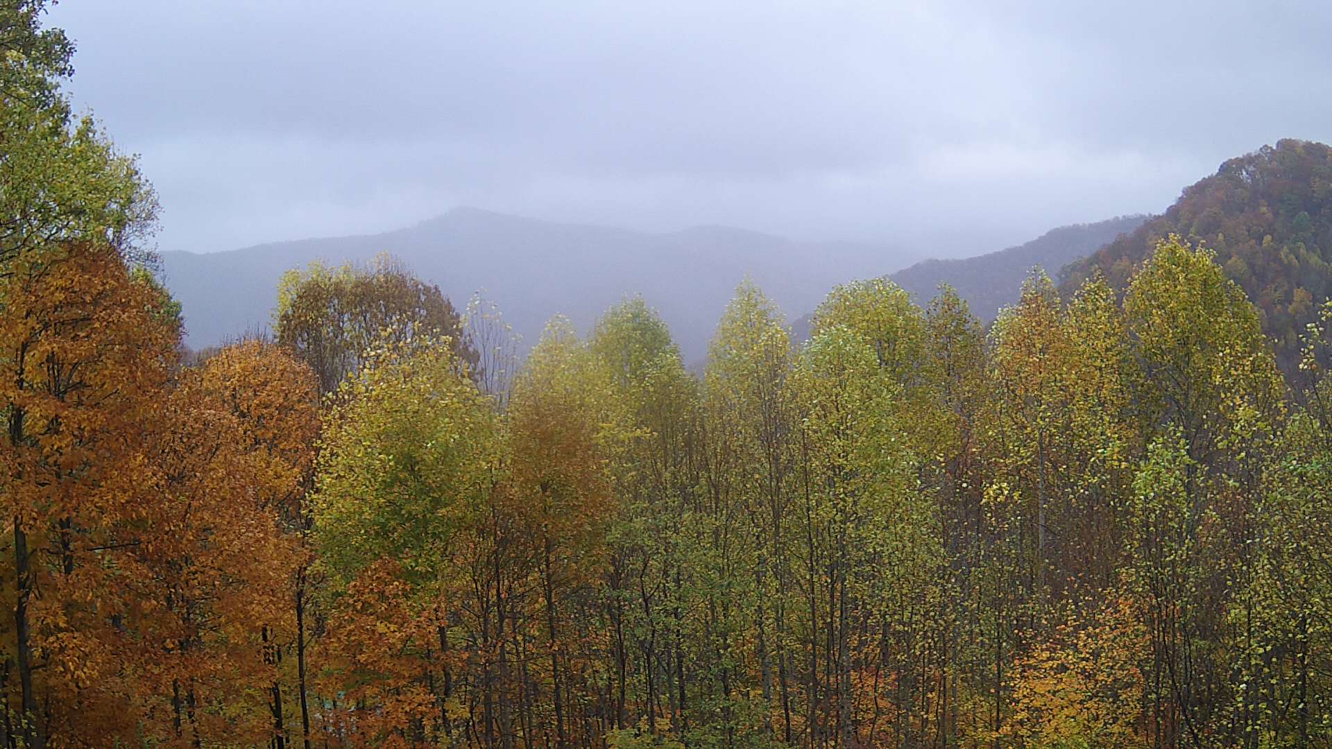 click for next image... slideshow image