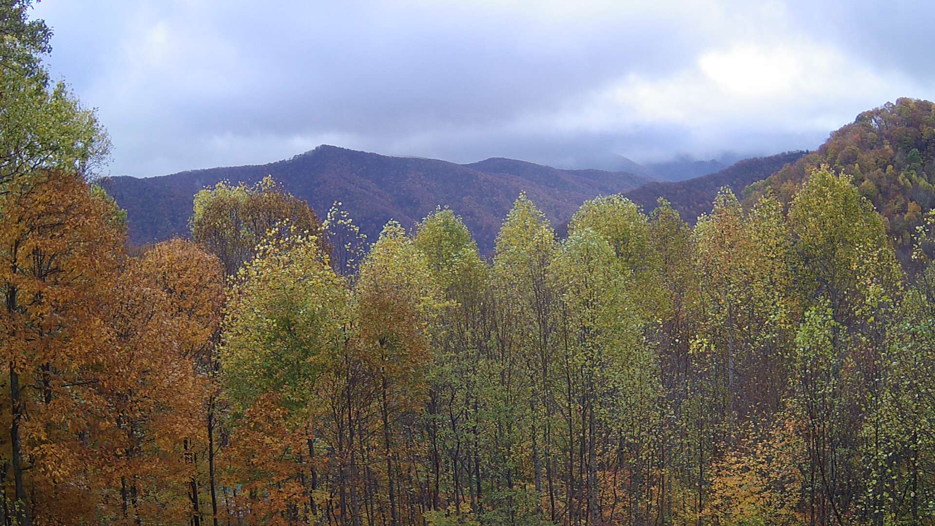 click for next image... slideshow image