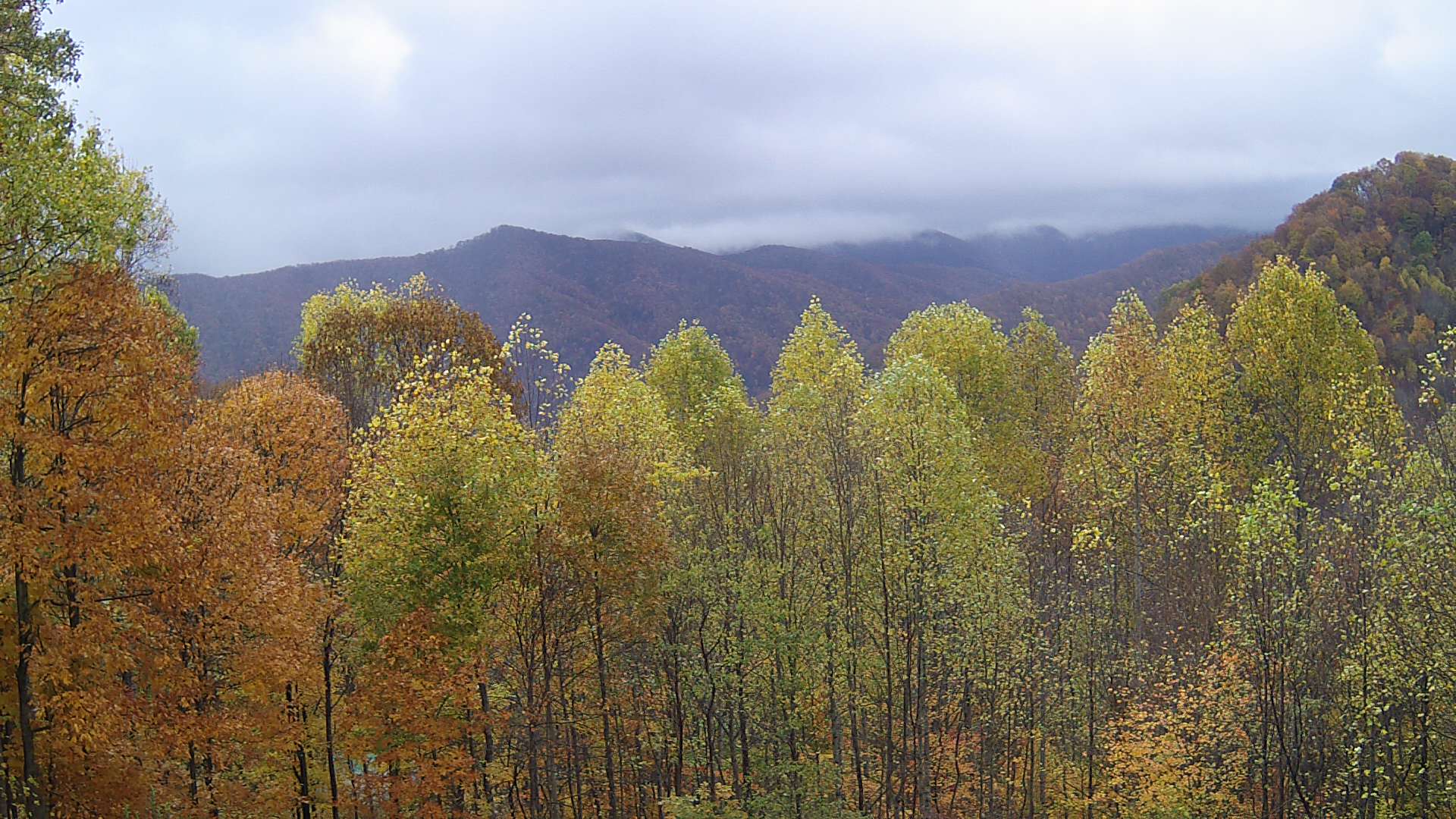 click for next image... slideshow image