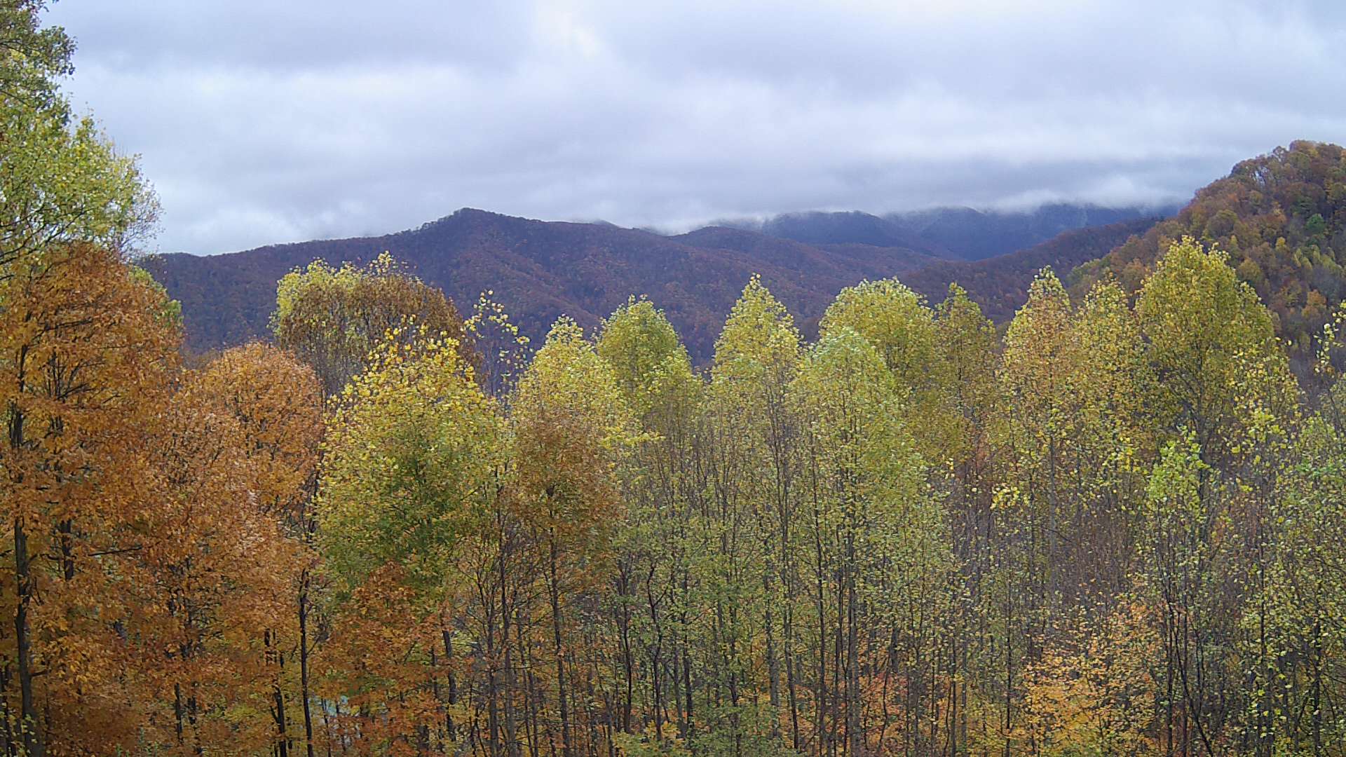 click for next image... slideshow image