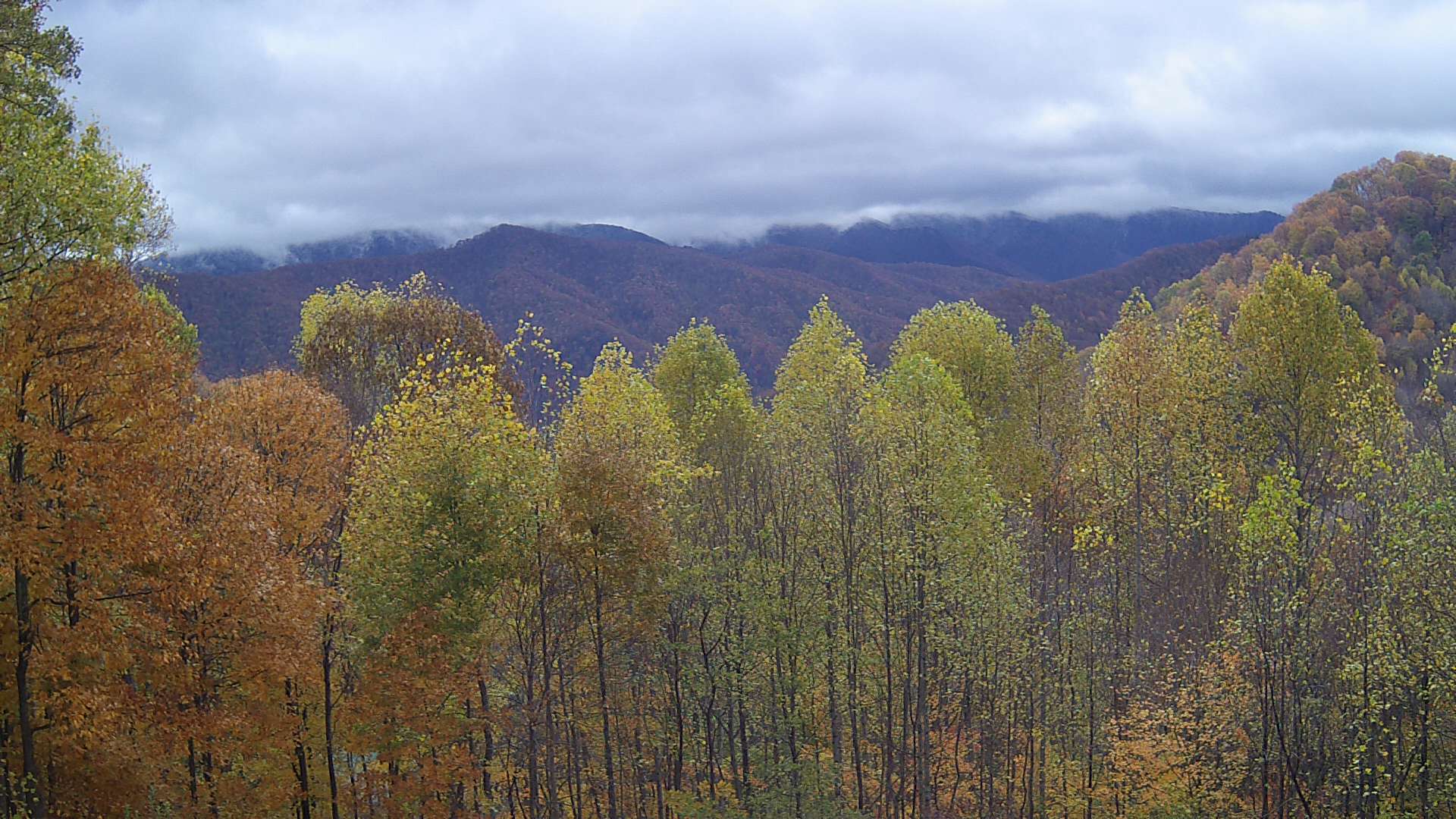 click for next image... slideshow image