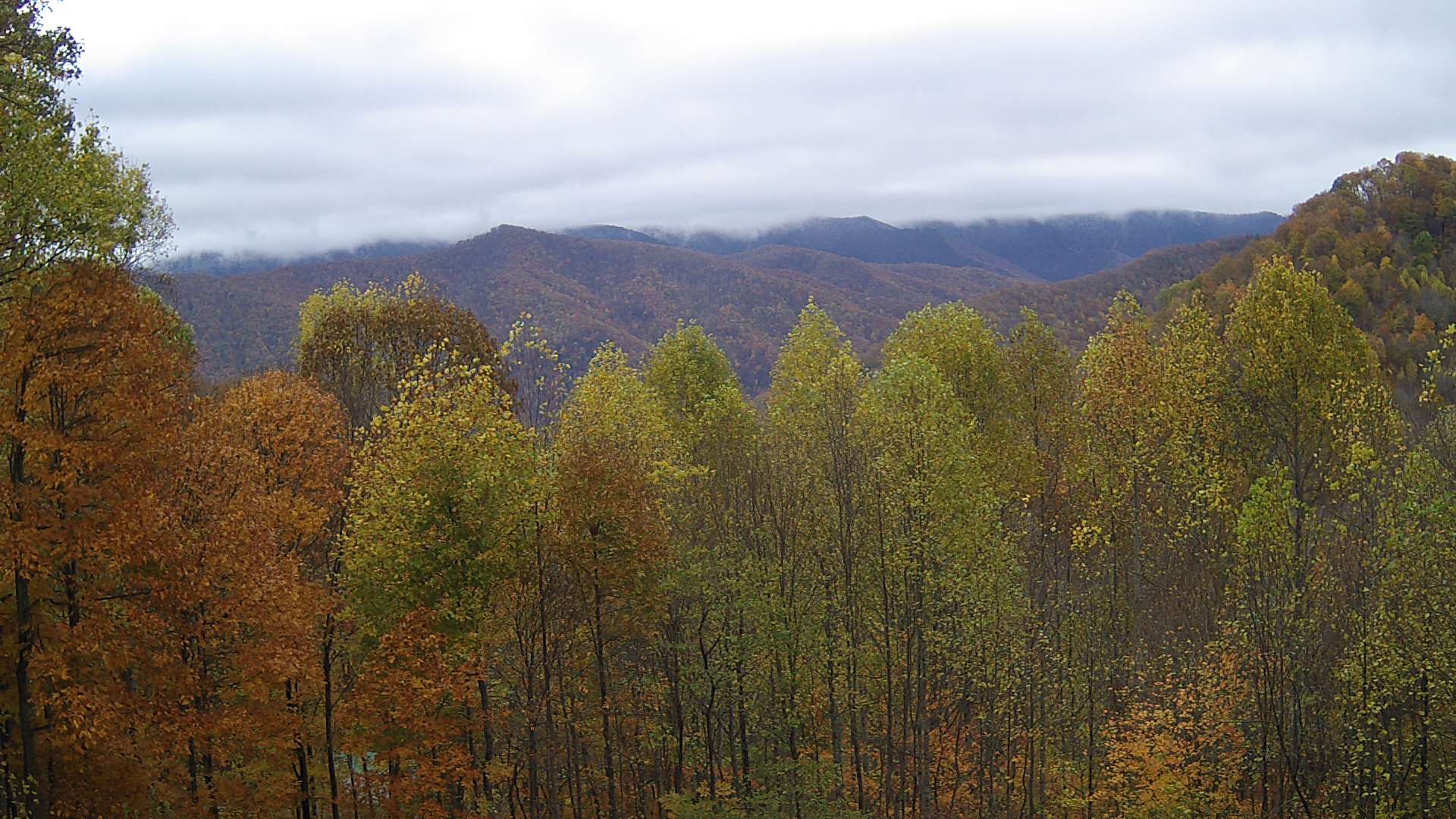 click for next image... slideshow image