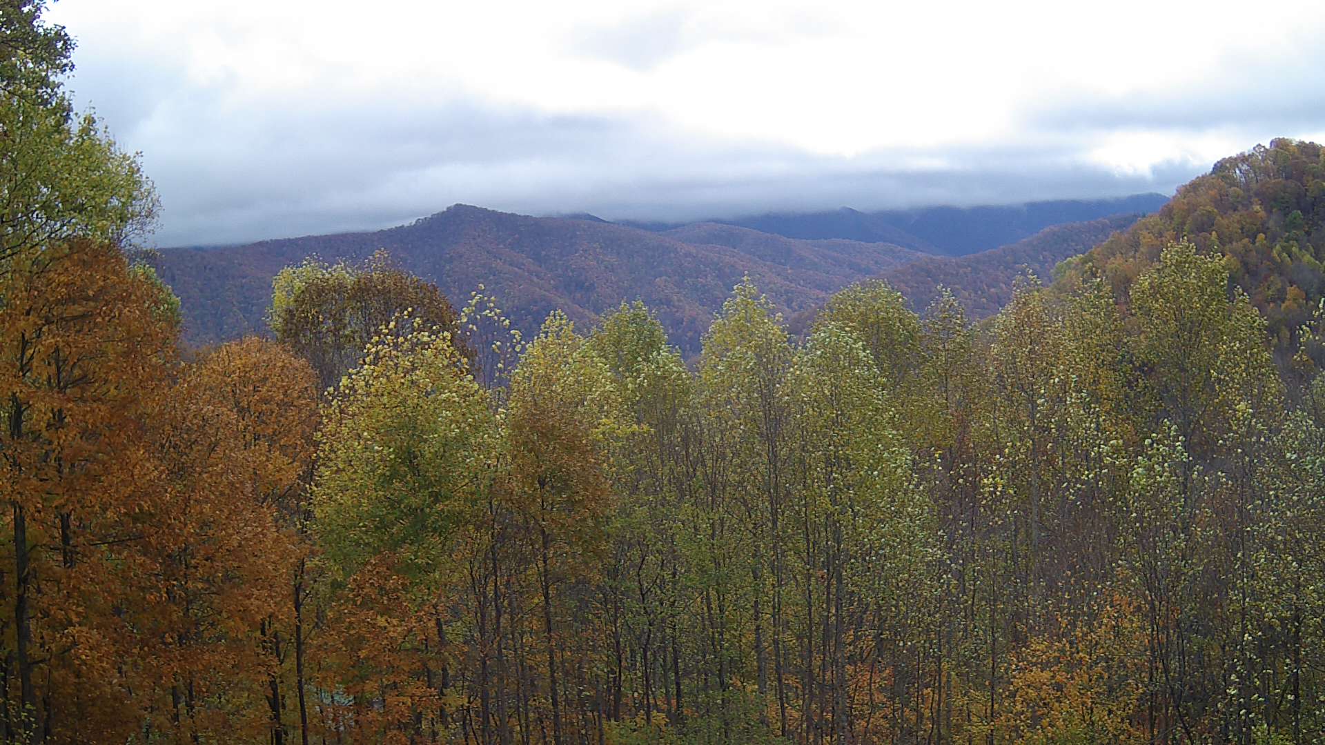 click for next image... slideshow image