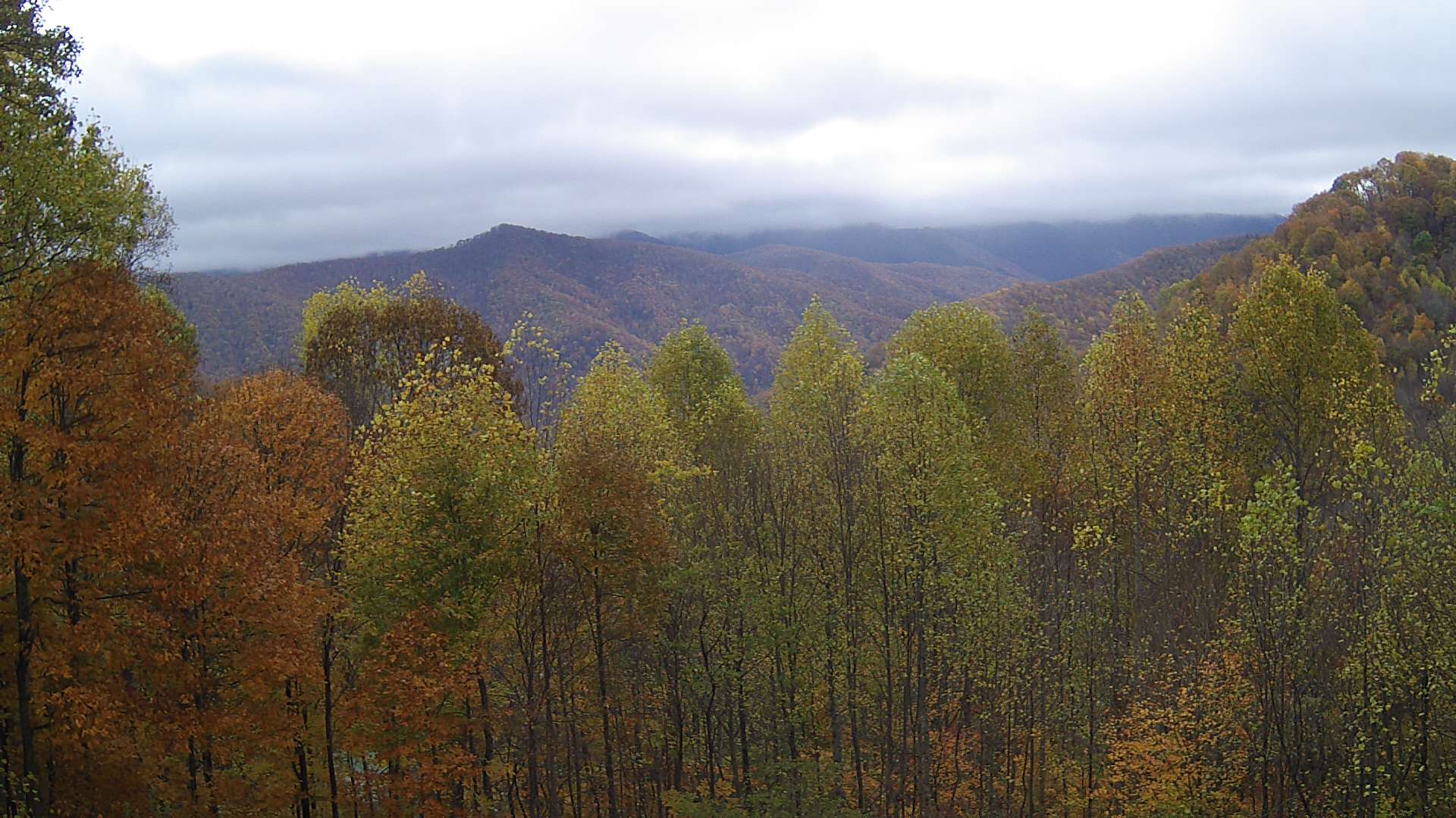 click for next image... slideshow image