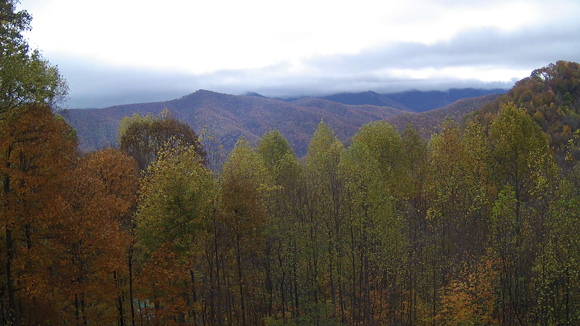 click for next image... slideshow image