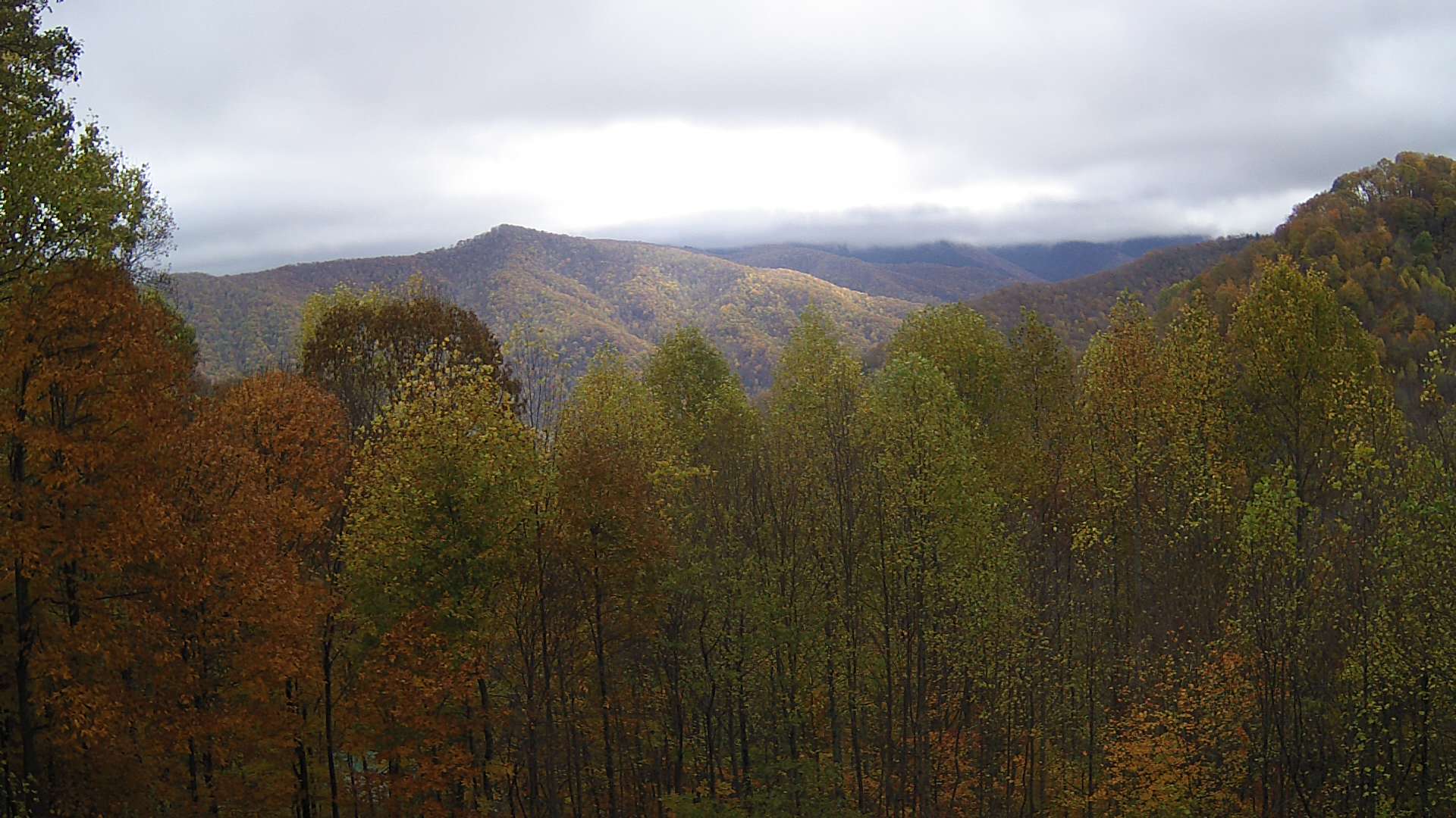 click for next image... slideshow image