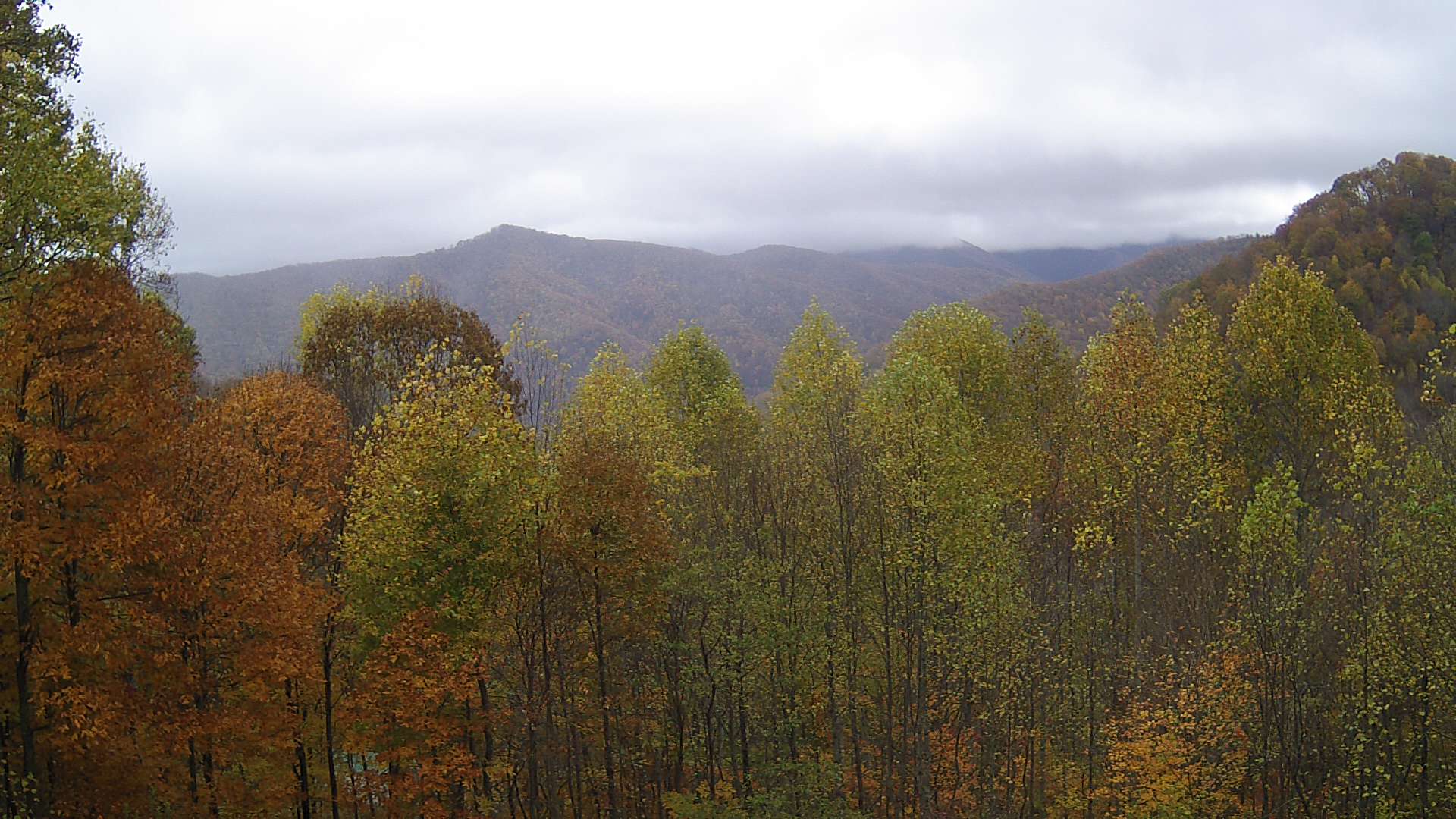 click for next image... slideshow image