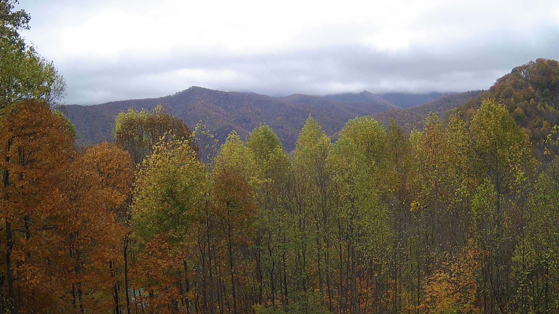 click for next image... slideshow image