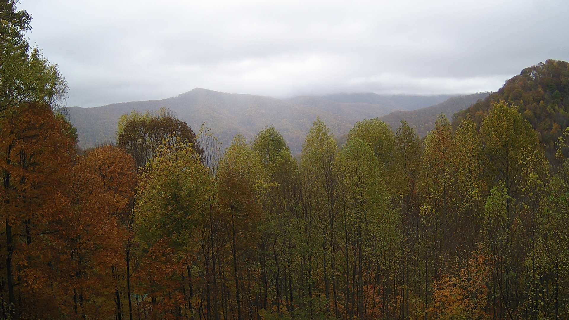 click for next image... slideshow image