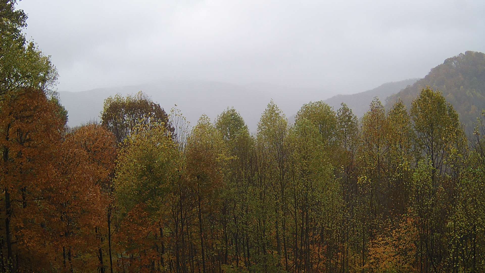 click for next image... slideshow image