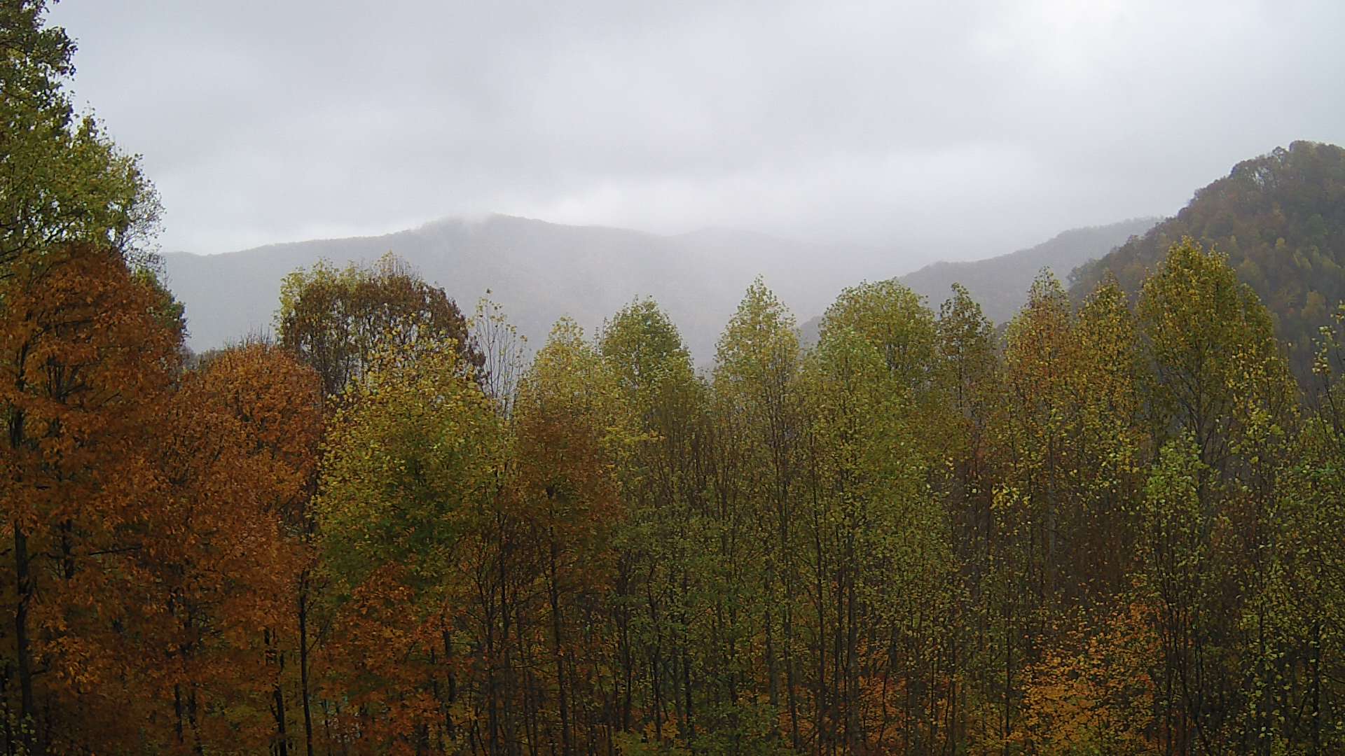 click for next image... slideshow image