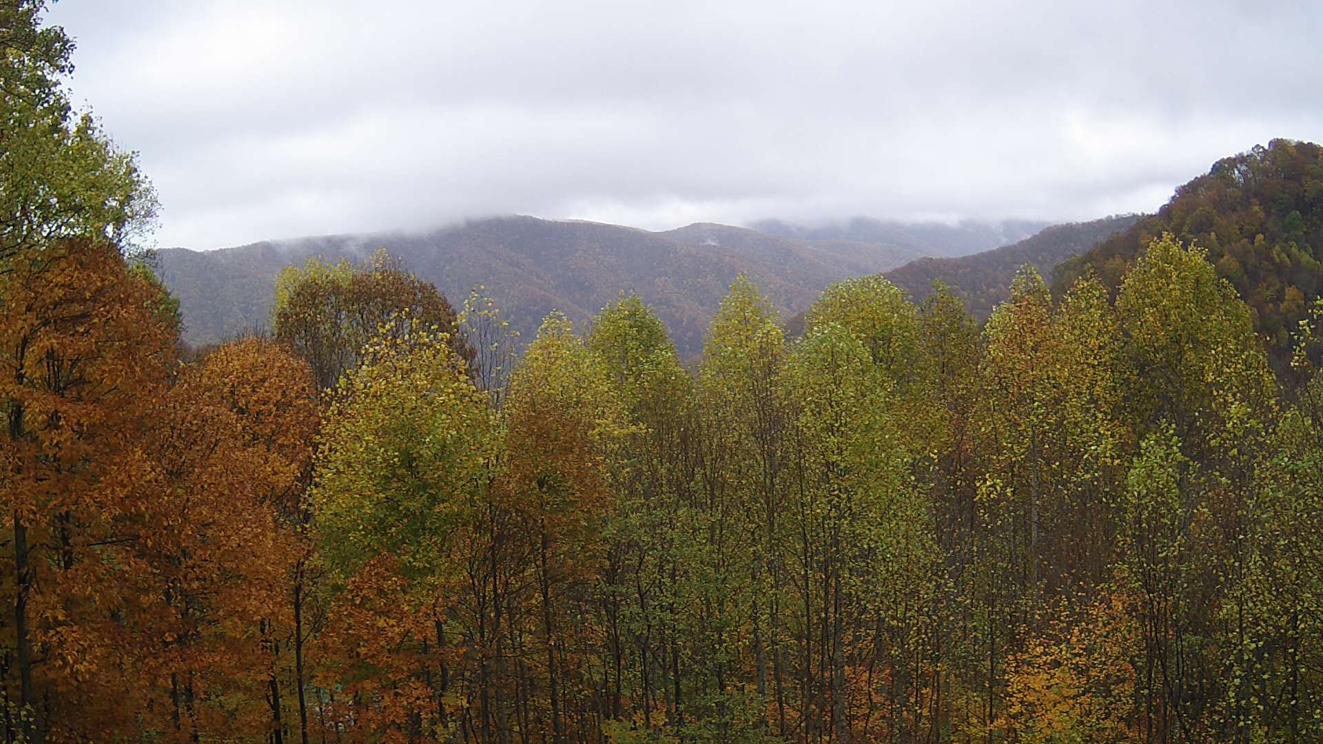 click for next image... slideshow image