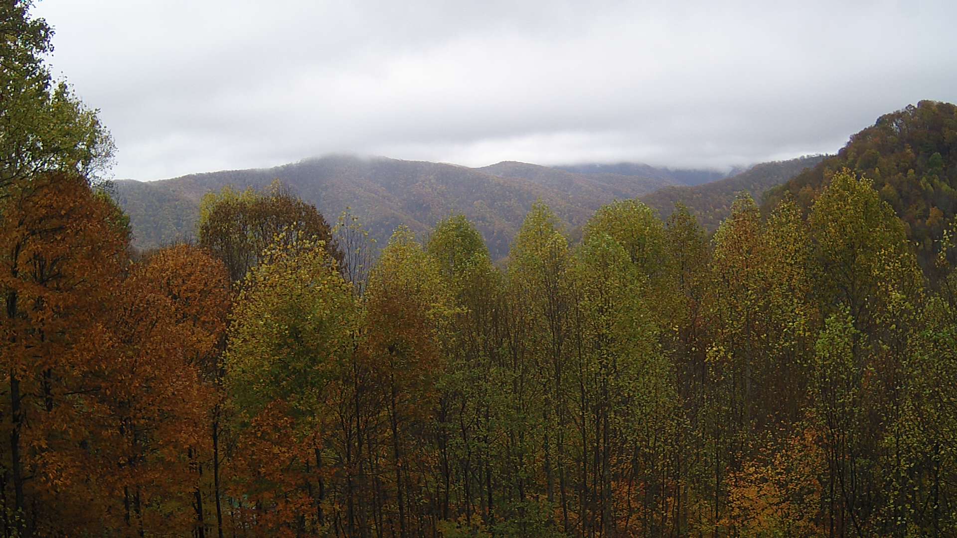 click for next image... slideshow image