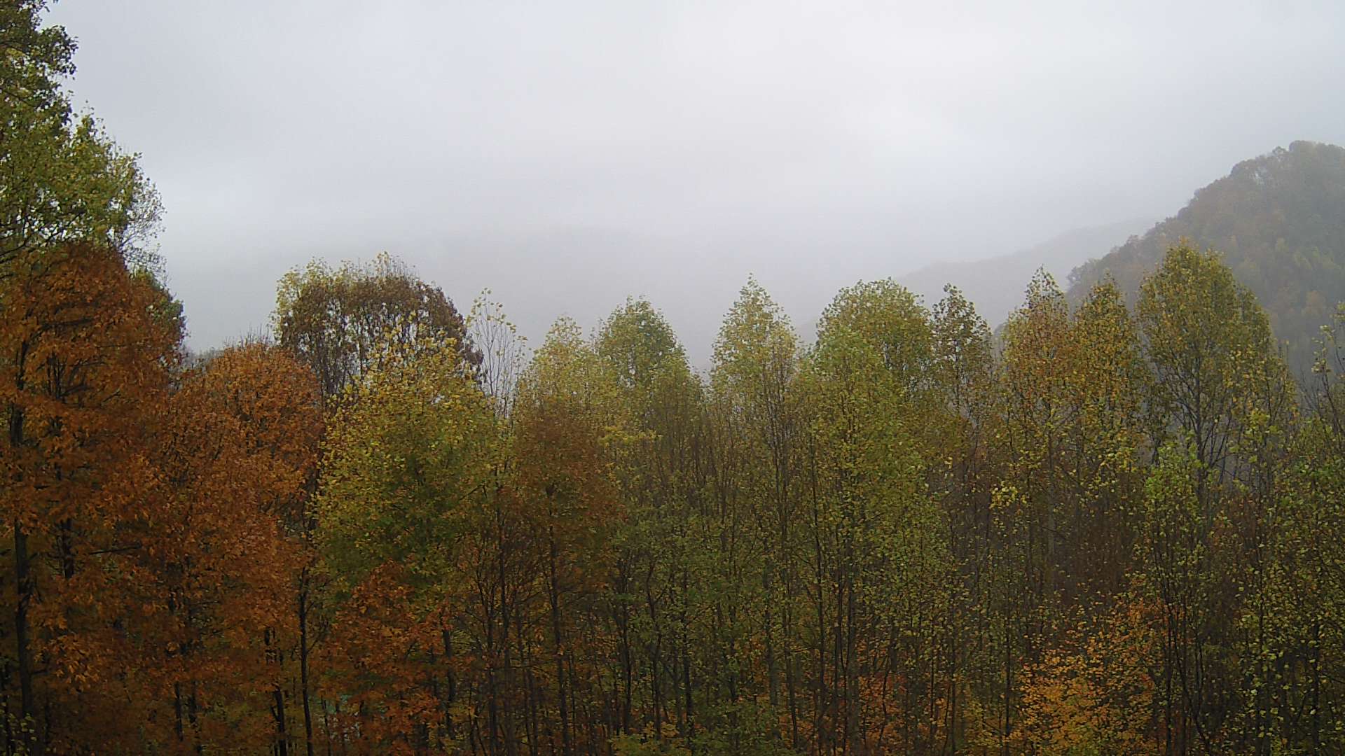 click for next image... slideshow image