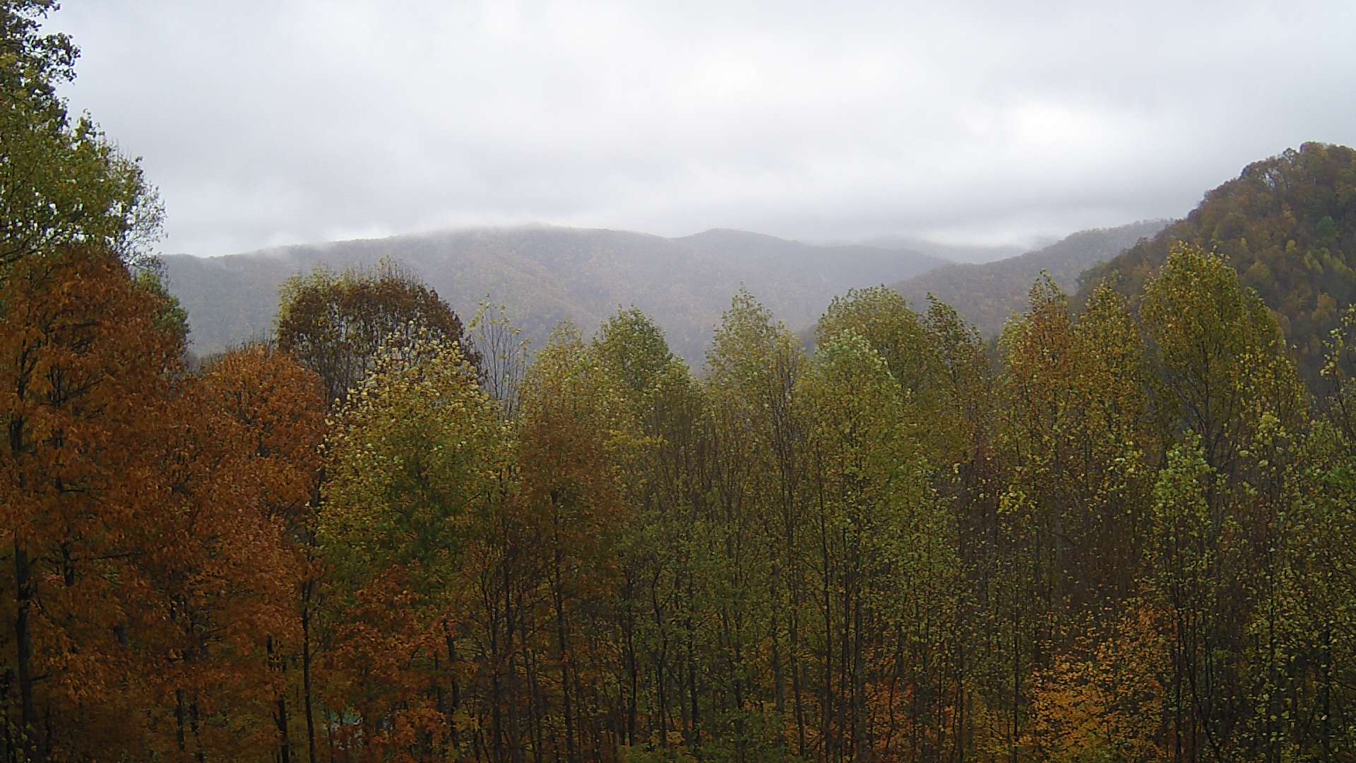 click for next image... slideshow image