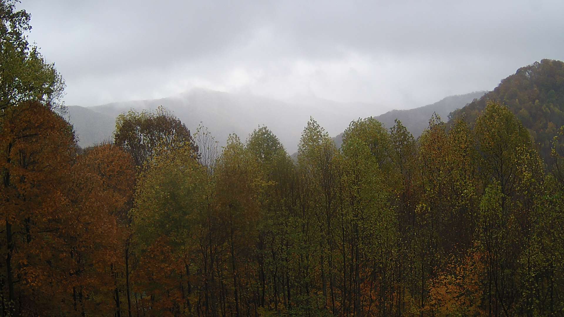 click for next image... slideshow image