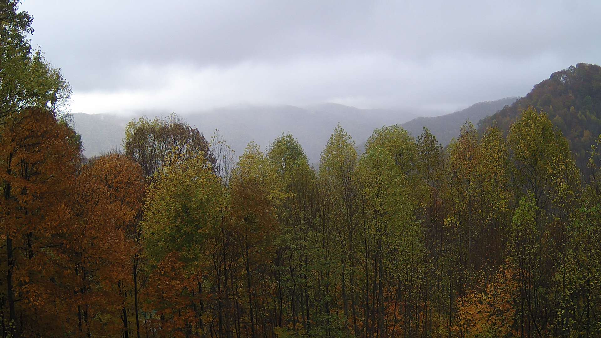 click for next image... slideshow image