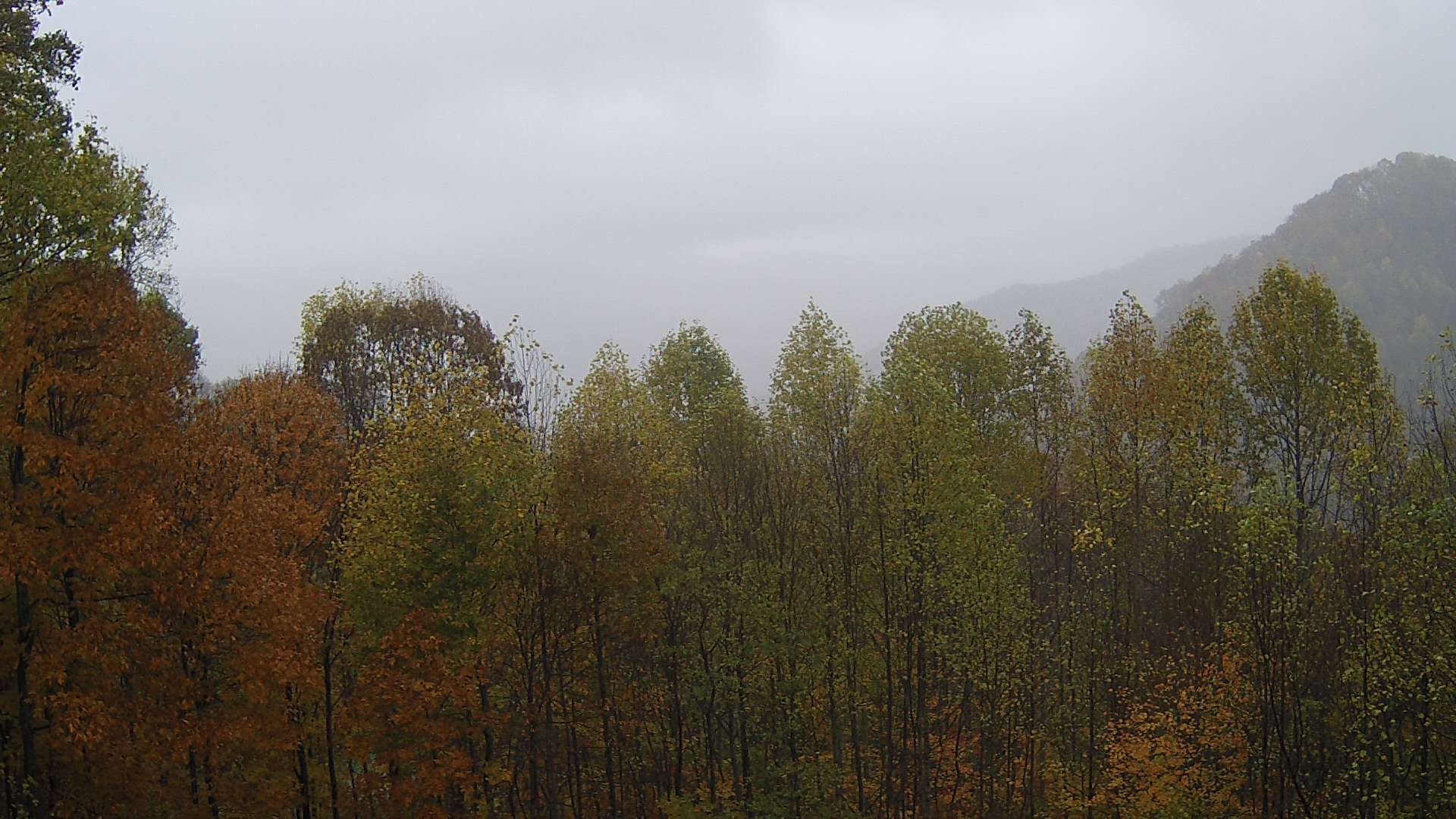 click for next image... slideshow image