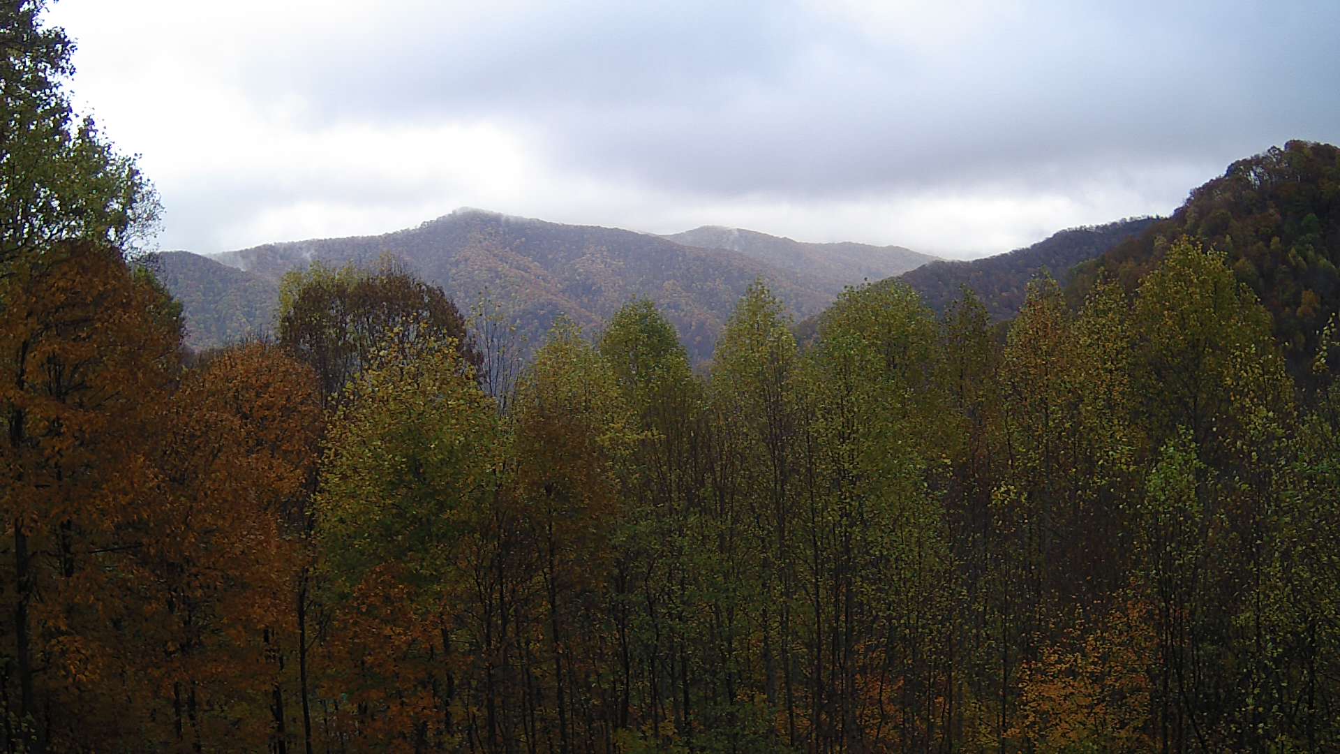 click for next image... slideshow image