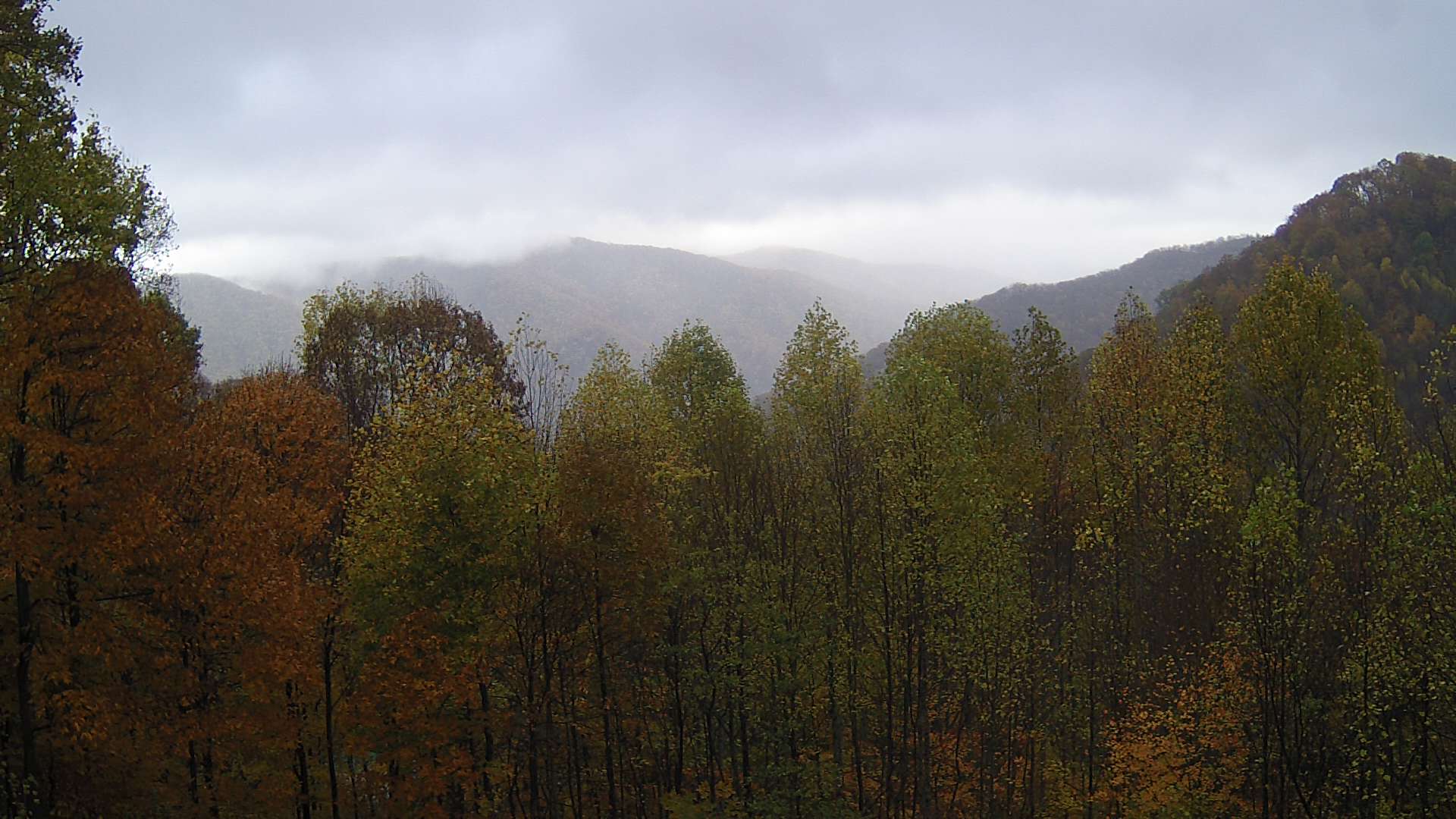 click for next image... slideshow image