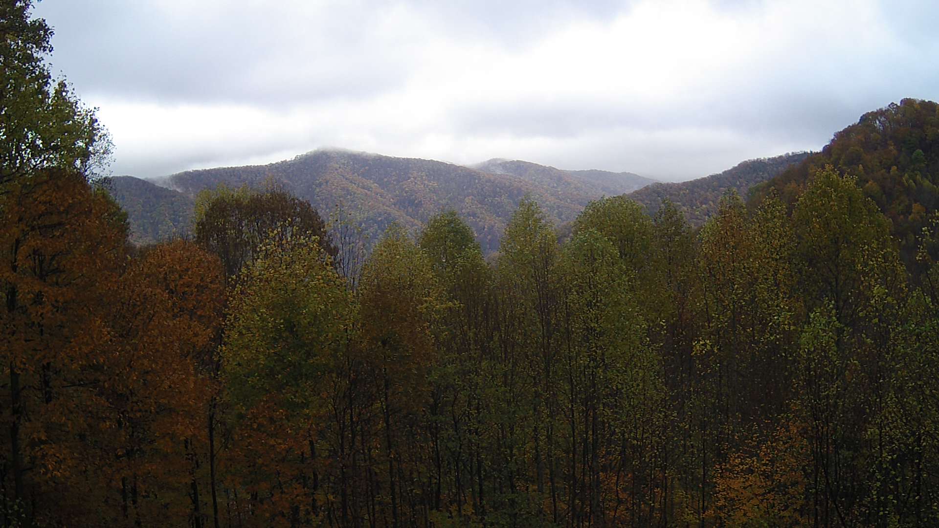 click for next image... slideshow image