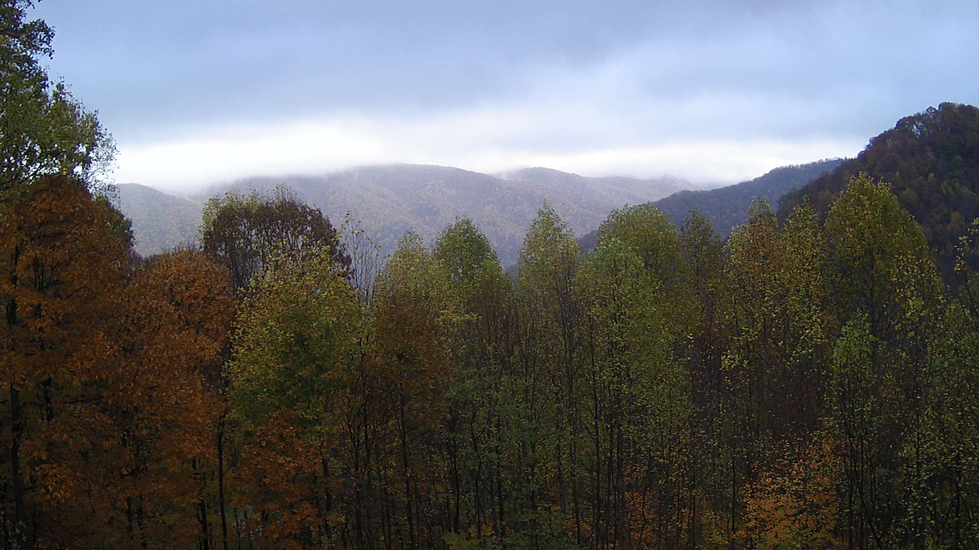 click for next image... slideshow image