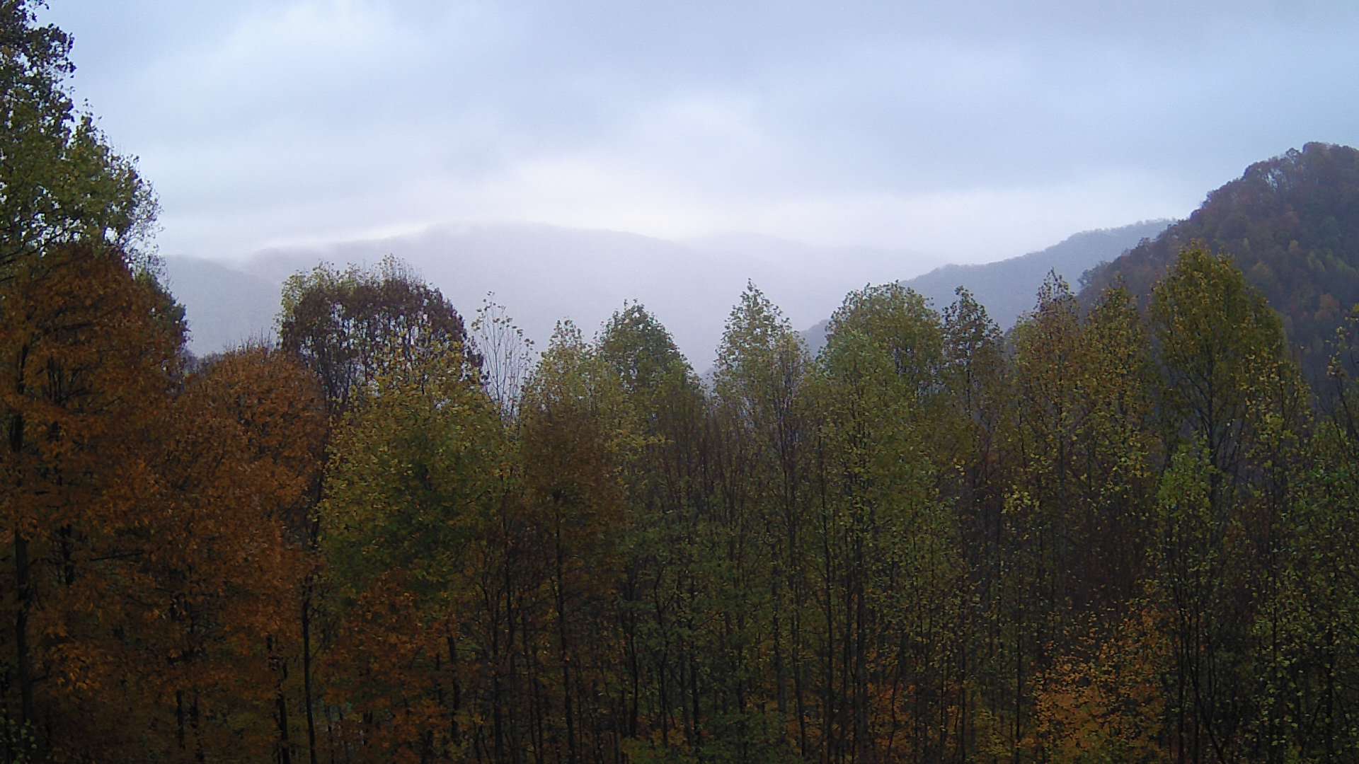 click for next image... slideshow image