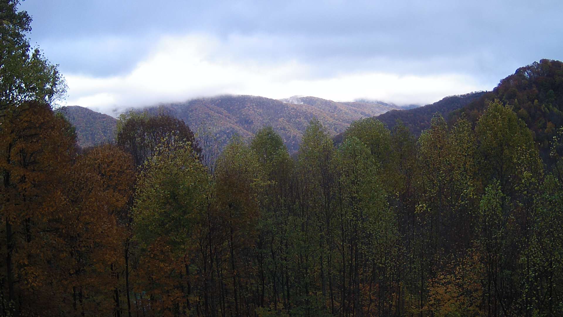 click for next image... slideshow image