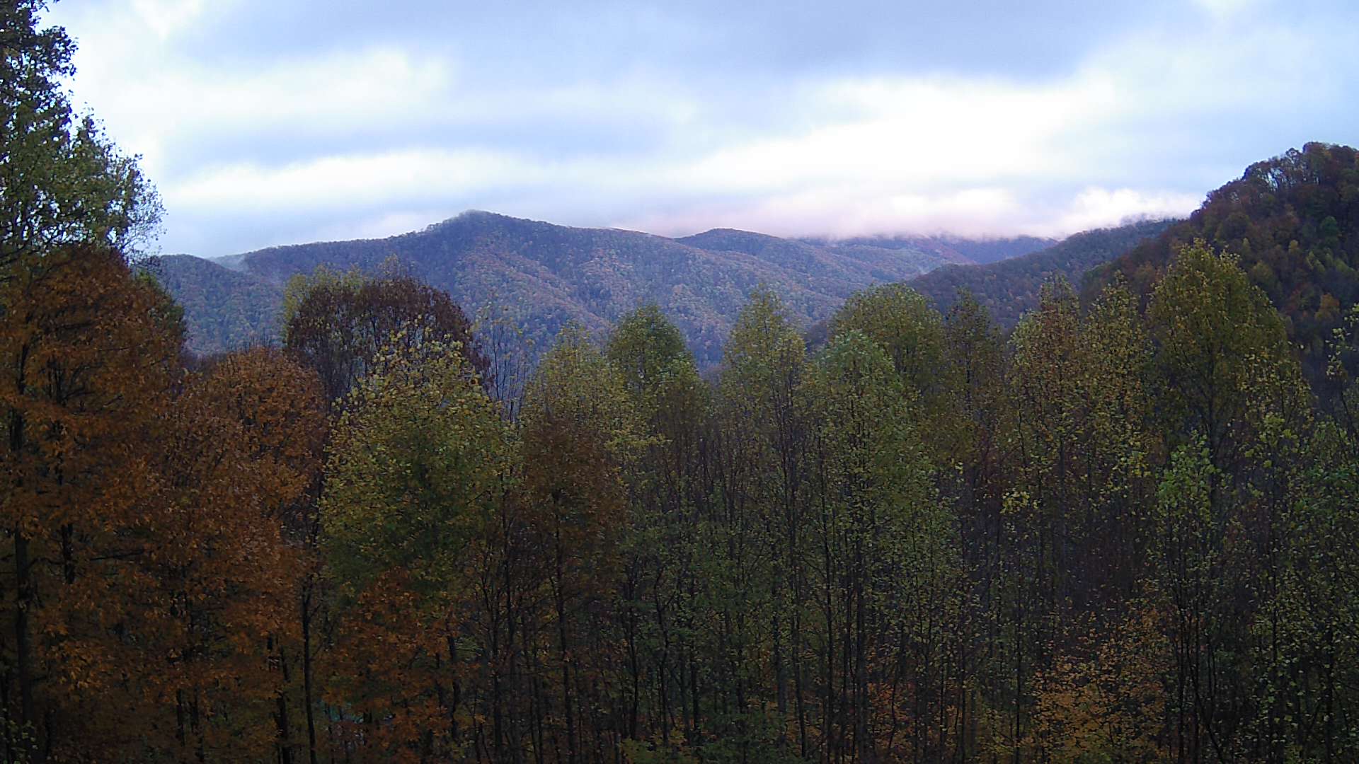 click for next image... slideshow image