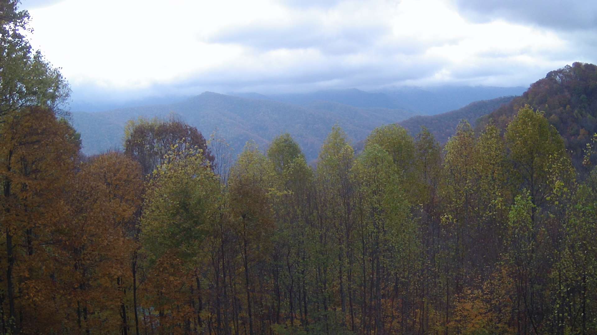 click for next image... slideshow image