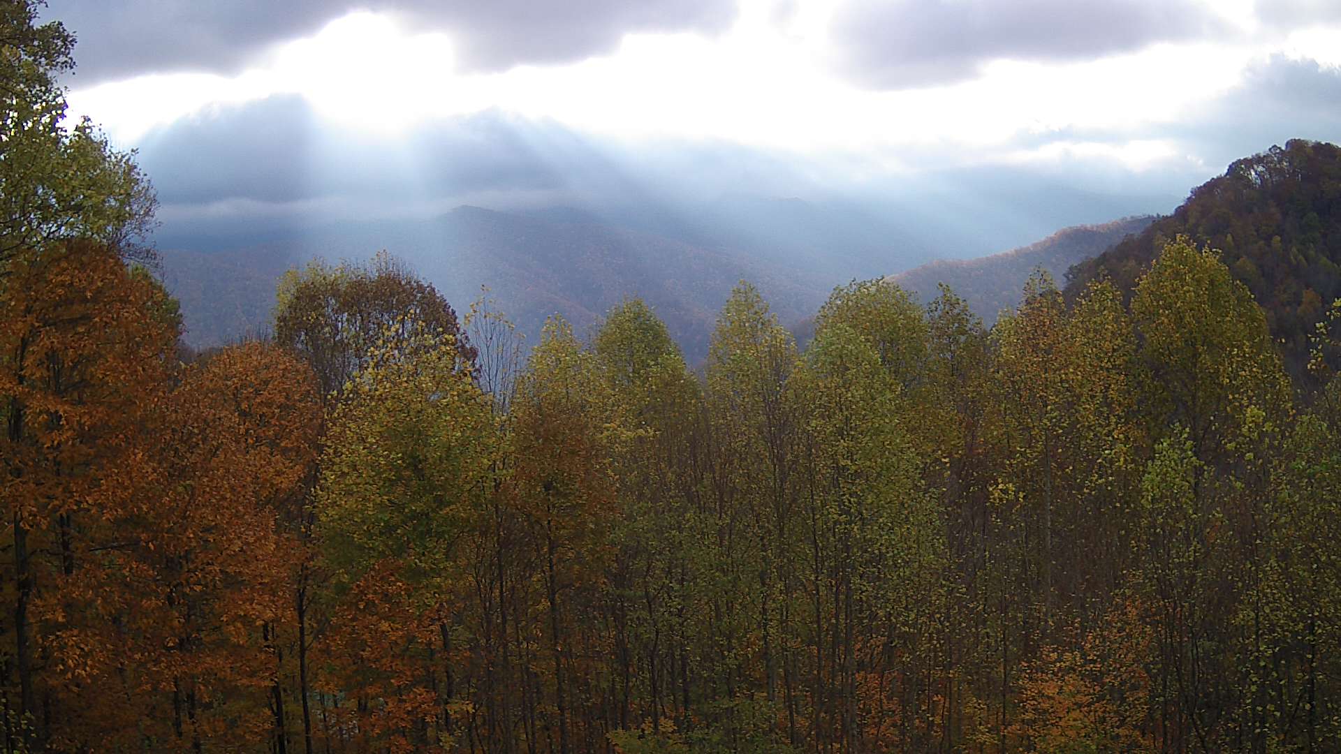 click for next image... slideshow image