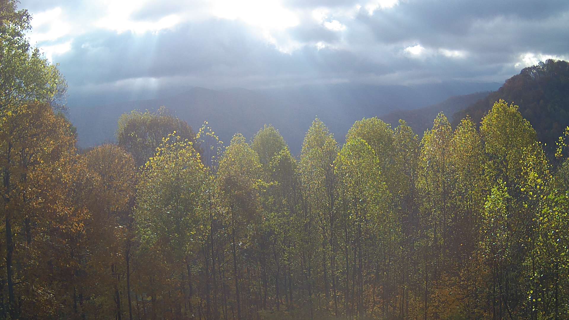 click for next image... slideshow image