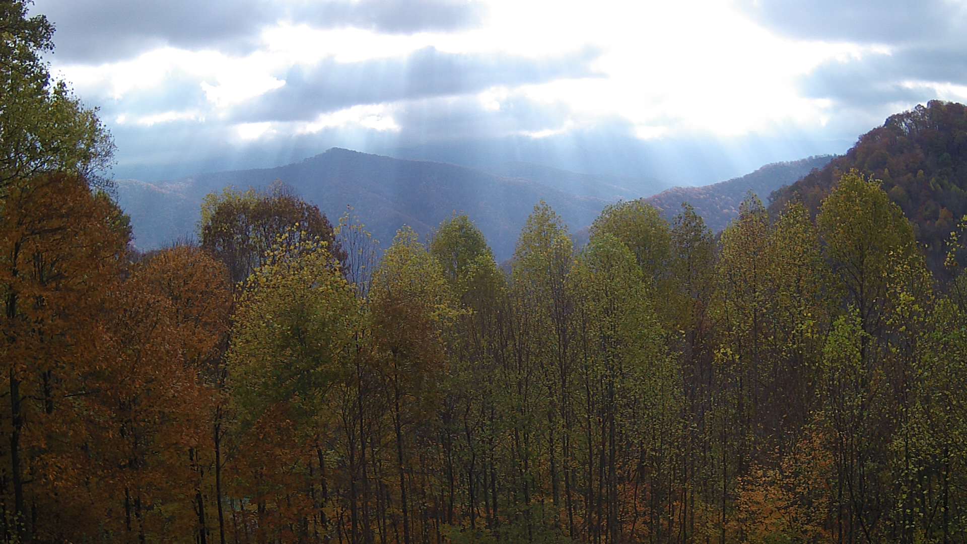 click for next image... slideshow image